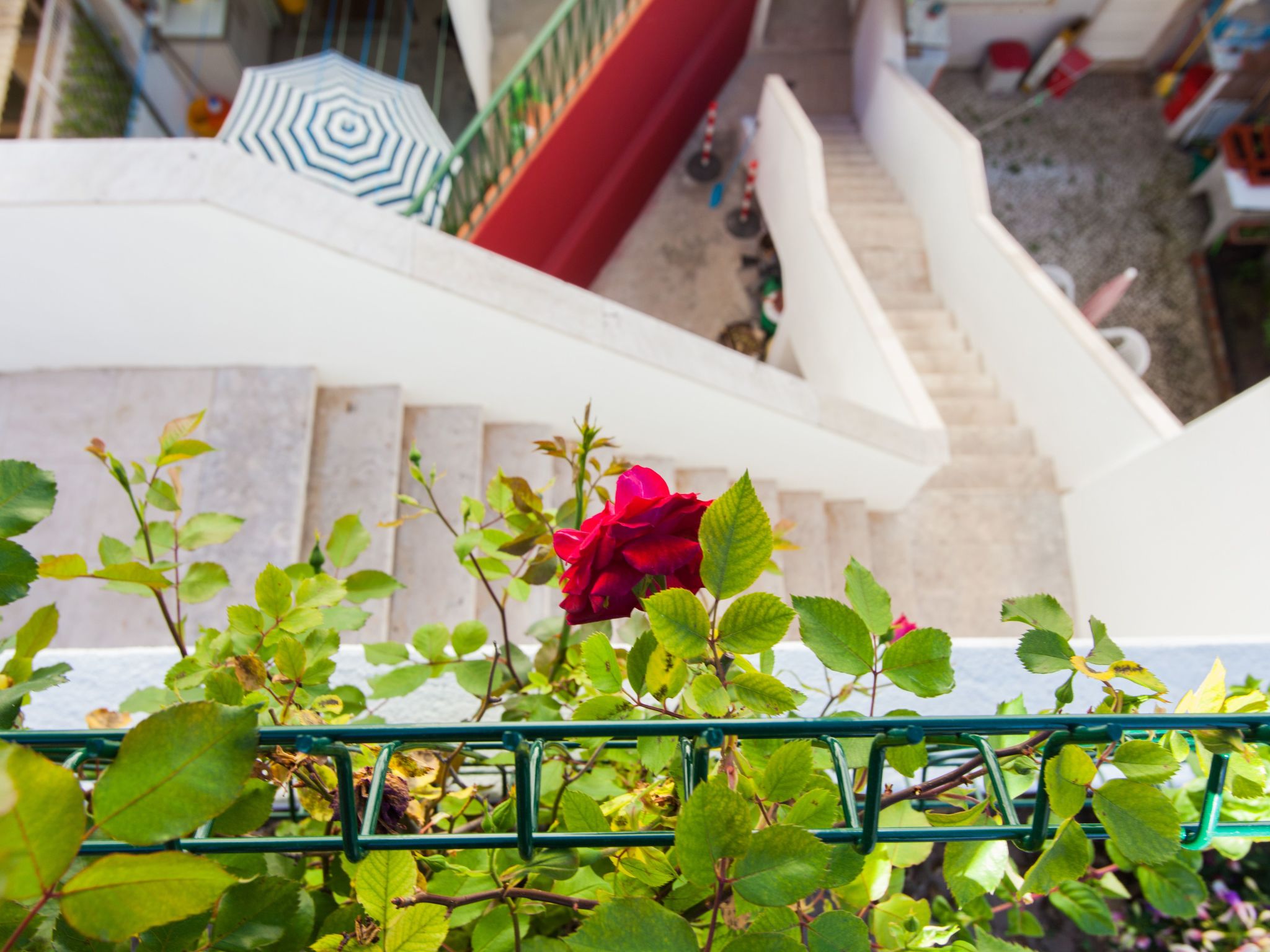 In Algés mit Kleinem gemeinsamem Pool-Binnen