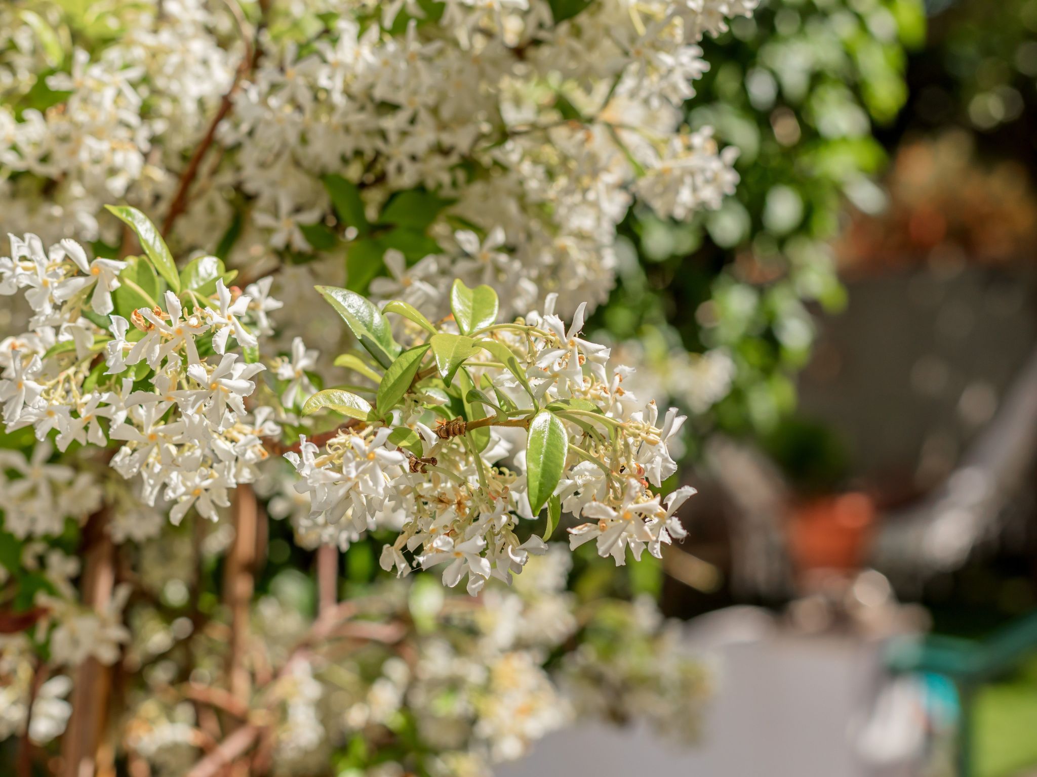 Nette Wohnung mit Kleinem gemeinsamem Pool-Binnen