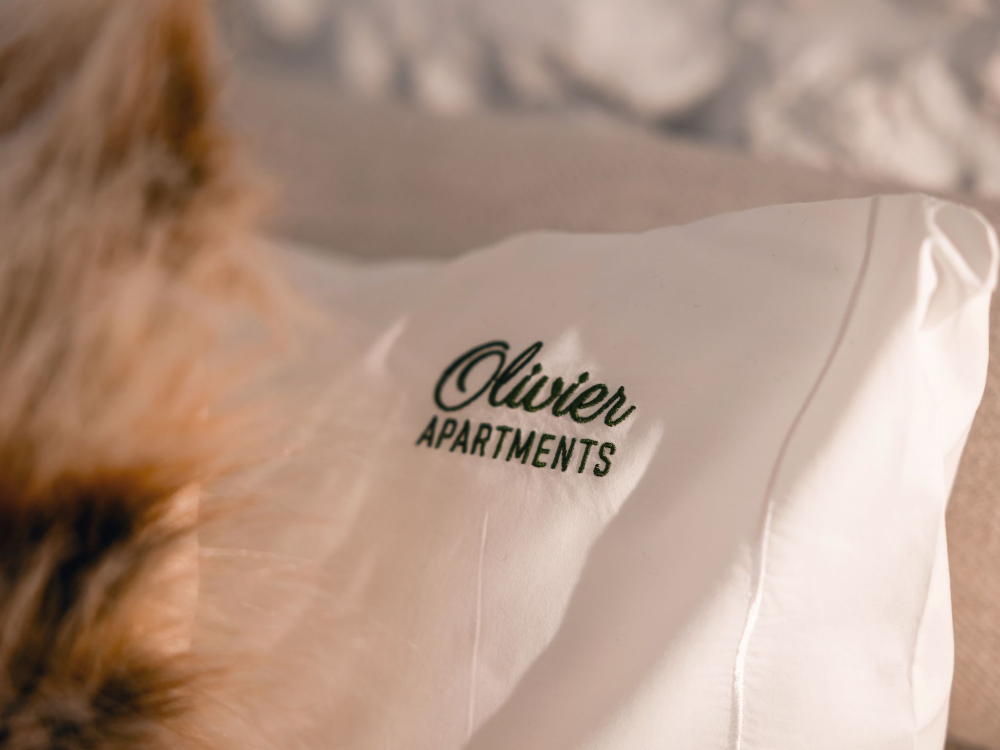 Die Downtown-Terrasse Fabelhafte Aussichten Romantisches Penthouse-Image-tags.info