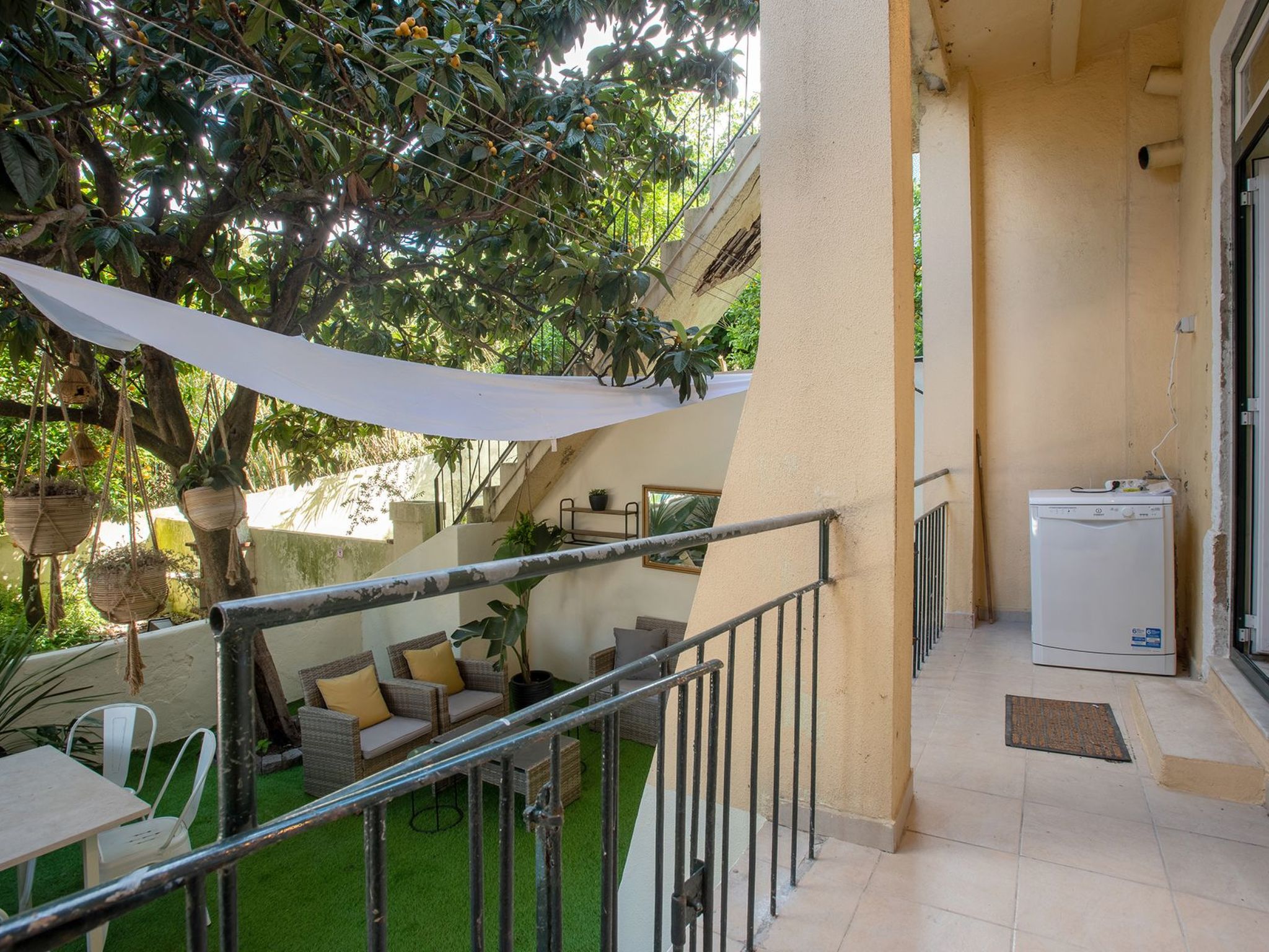 Baum Liverpooler Terrasse-Binnen