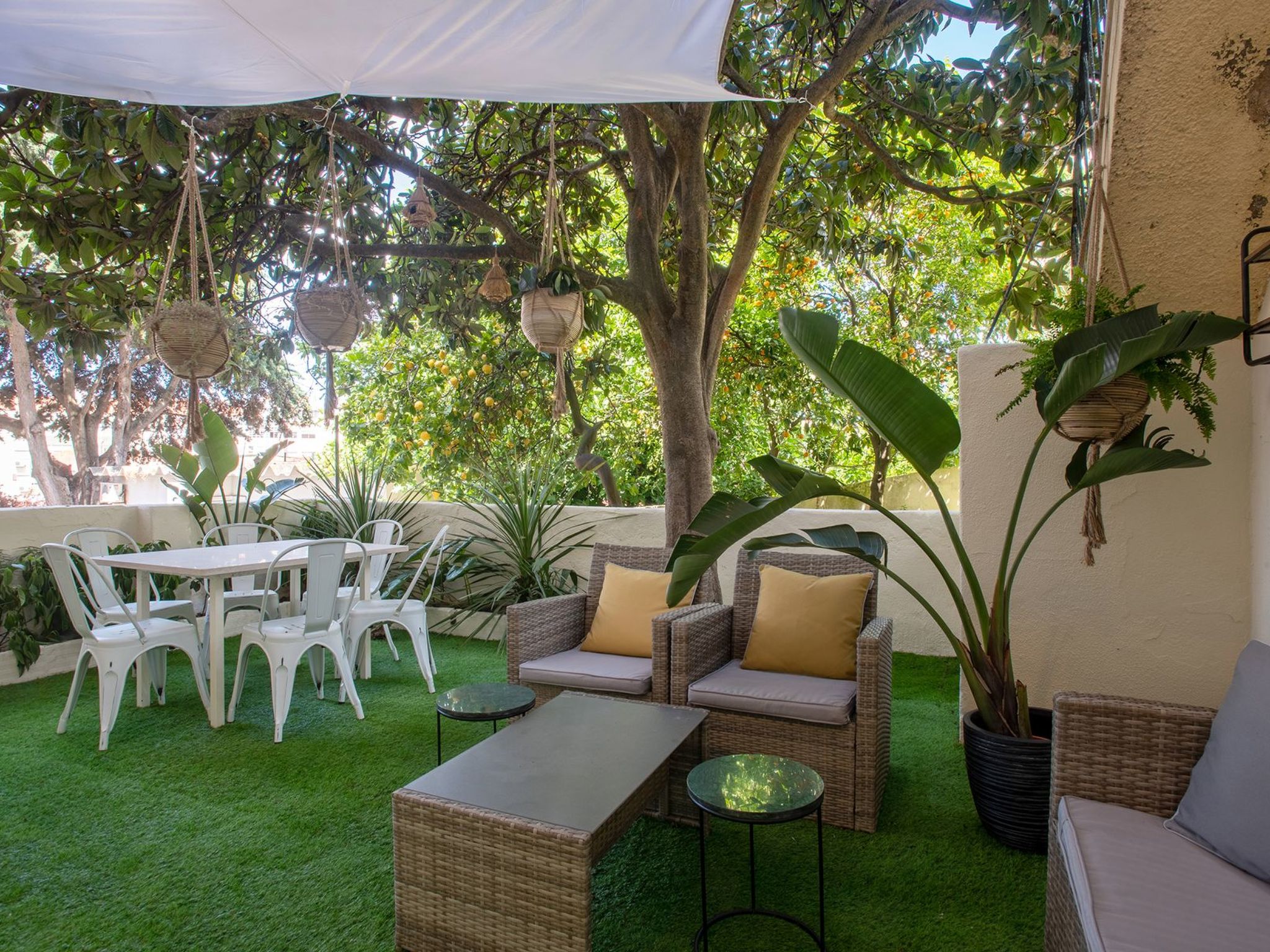 Baum Liverpooler Terrasse-Binnen