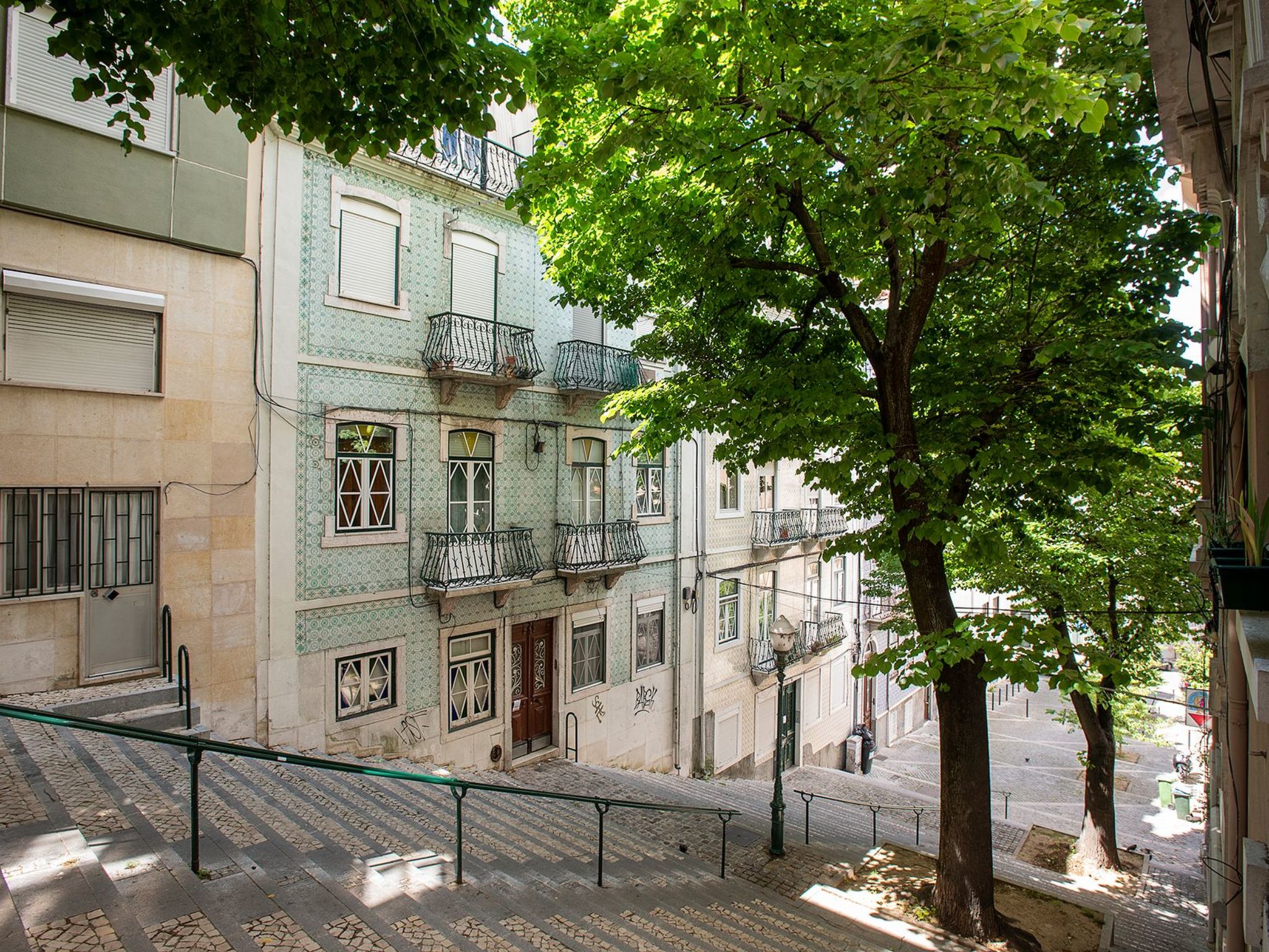 Baum Liverpooler Terrasse-Binnen