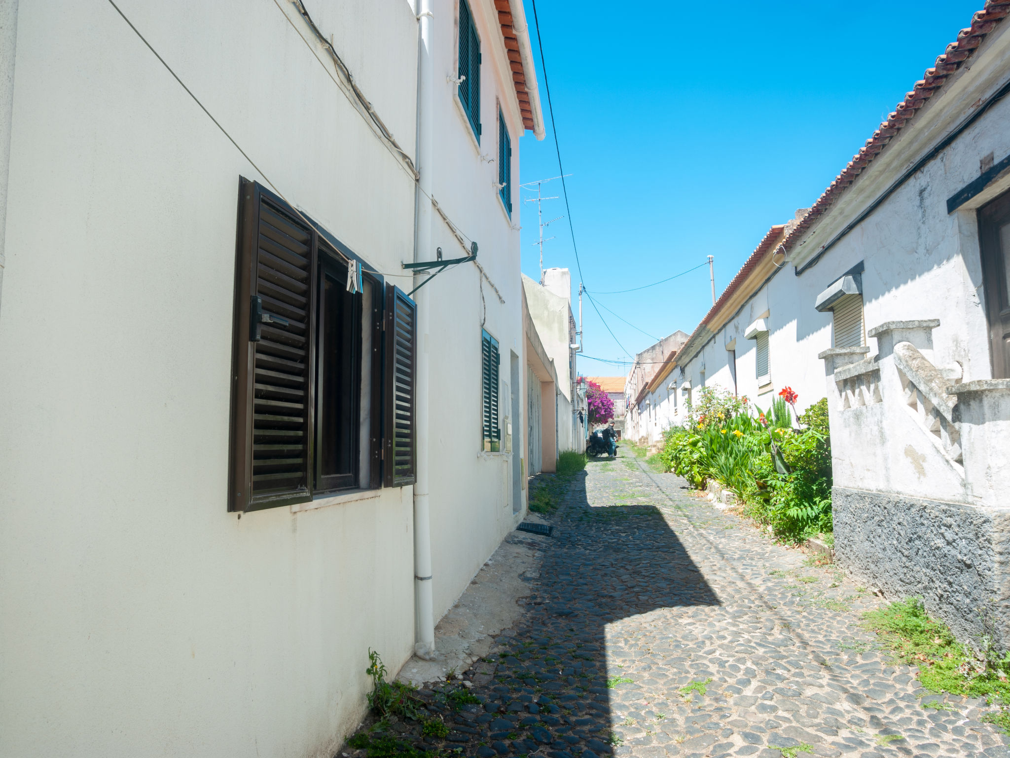 Holiday Rental Accommodation