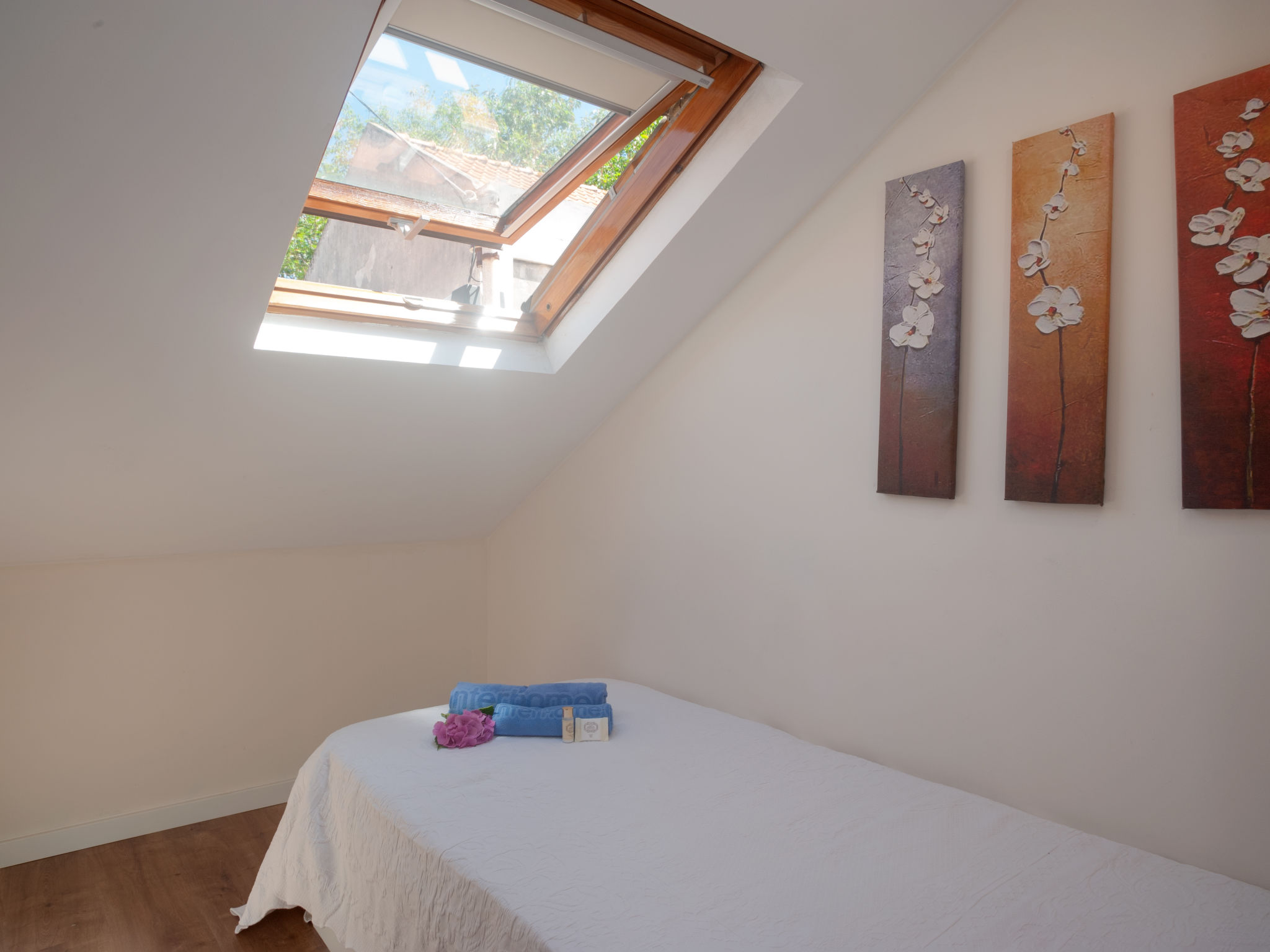 Holiday Rental Accommodation