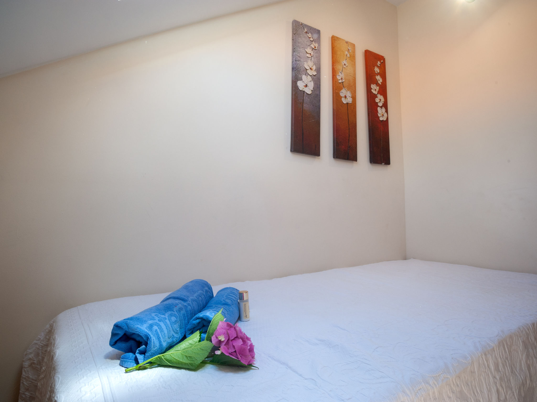 Holiday Rental Accommodation