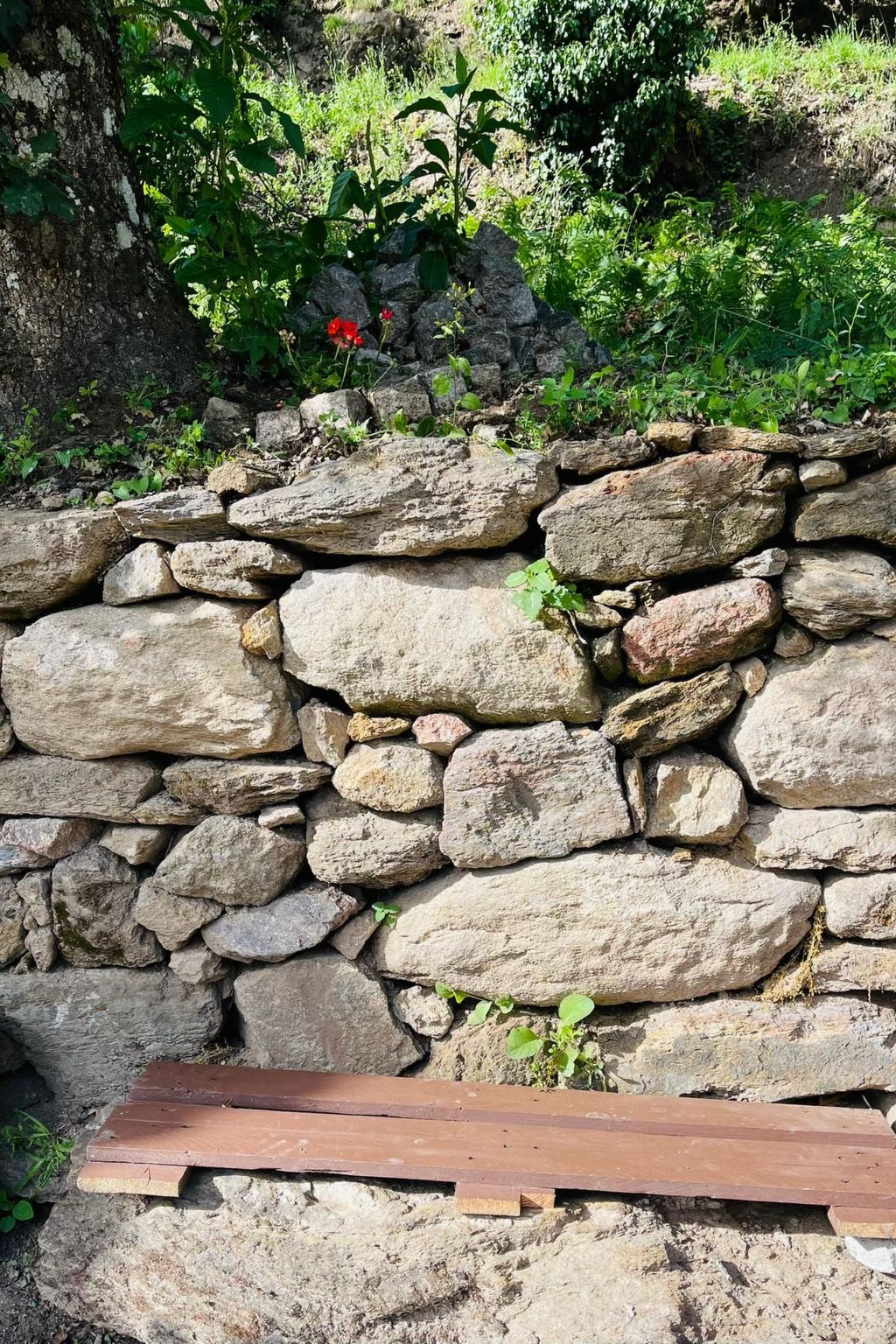 Aufenthalt in einem Naturparadies bei Alvão-Inside