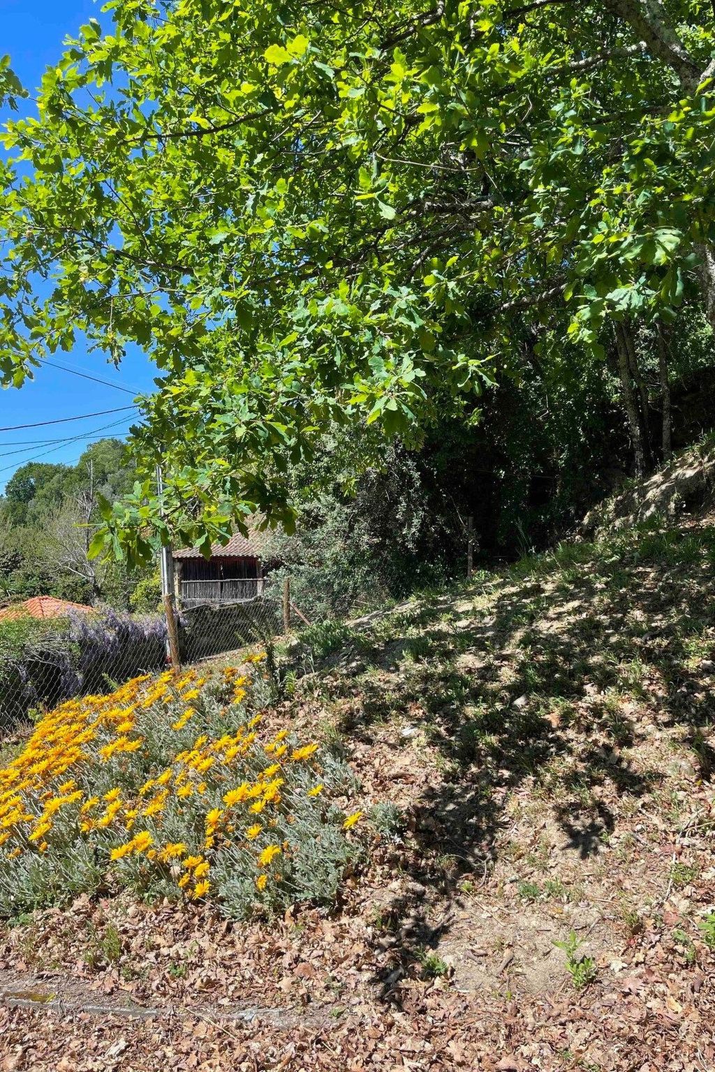 Aufenthalt in einem Naturparadies bei Alvão-Inside