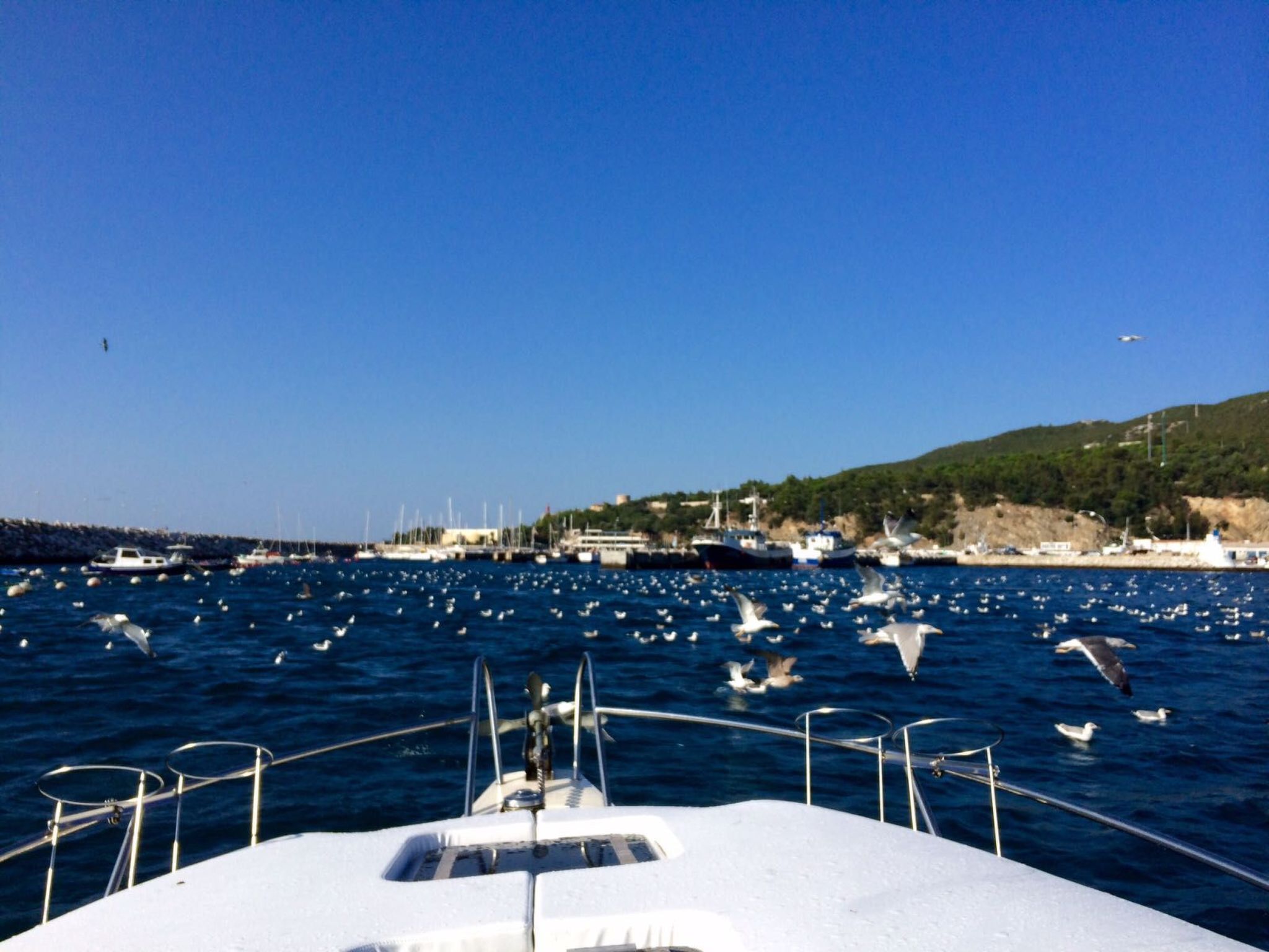 In Sesimbra mit Grill, Terrasse und Garten-Binnen