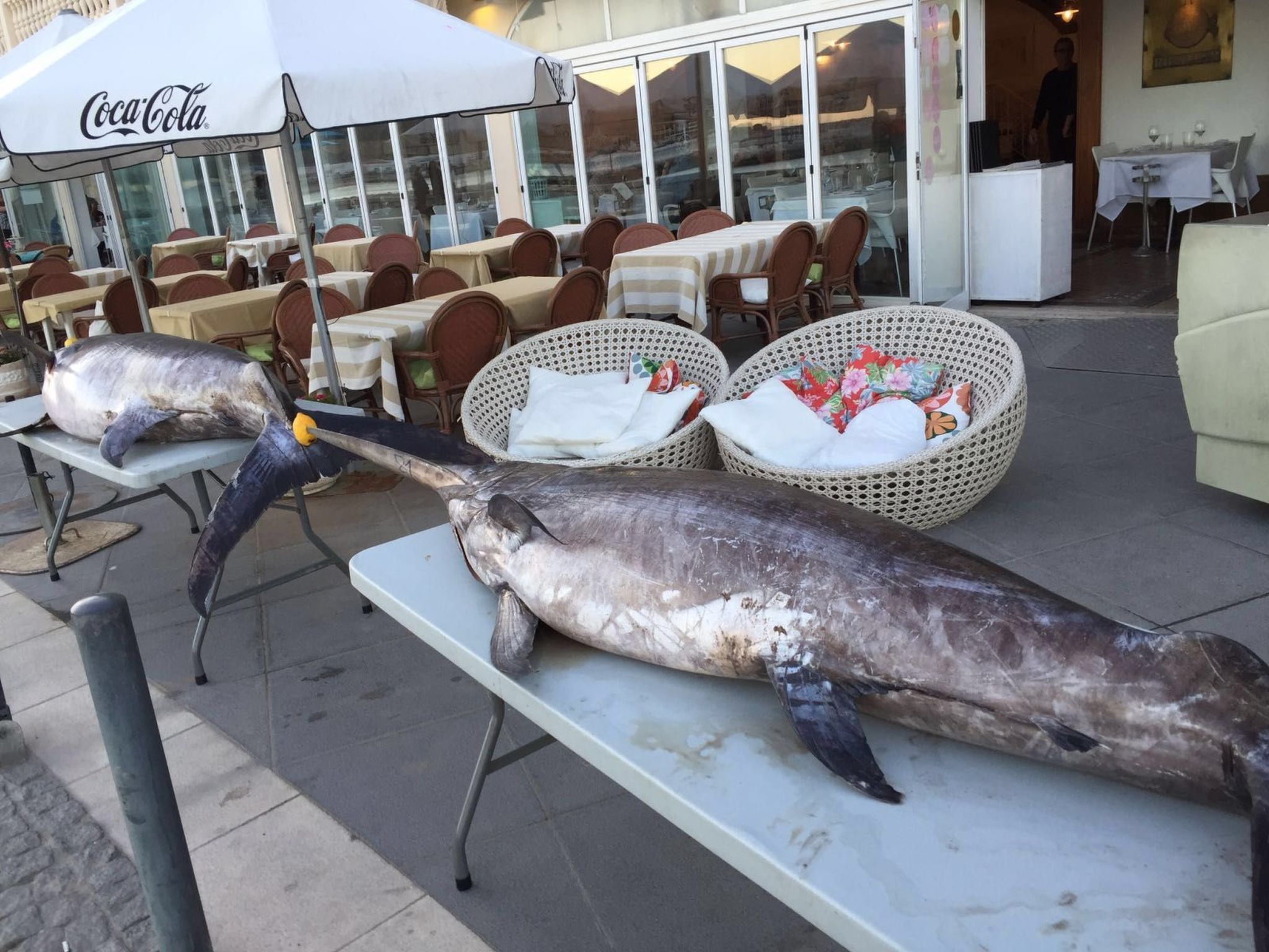 In Sesimbra mit Grill, Terrasse und Garten-Binnen