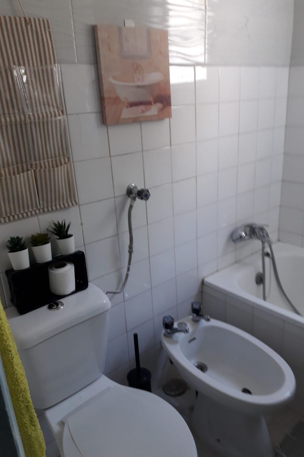 Geschichte, Önologie und Gastronomie im Alentejo-Image-tags.info