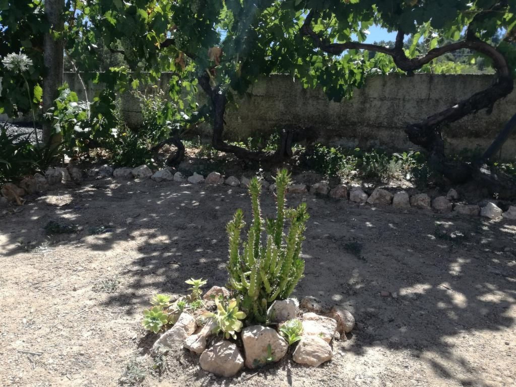 Träumende Aussichten im Douro-Image-tags.info