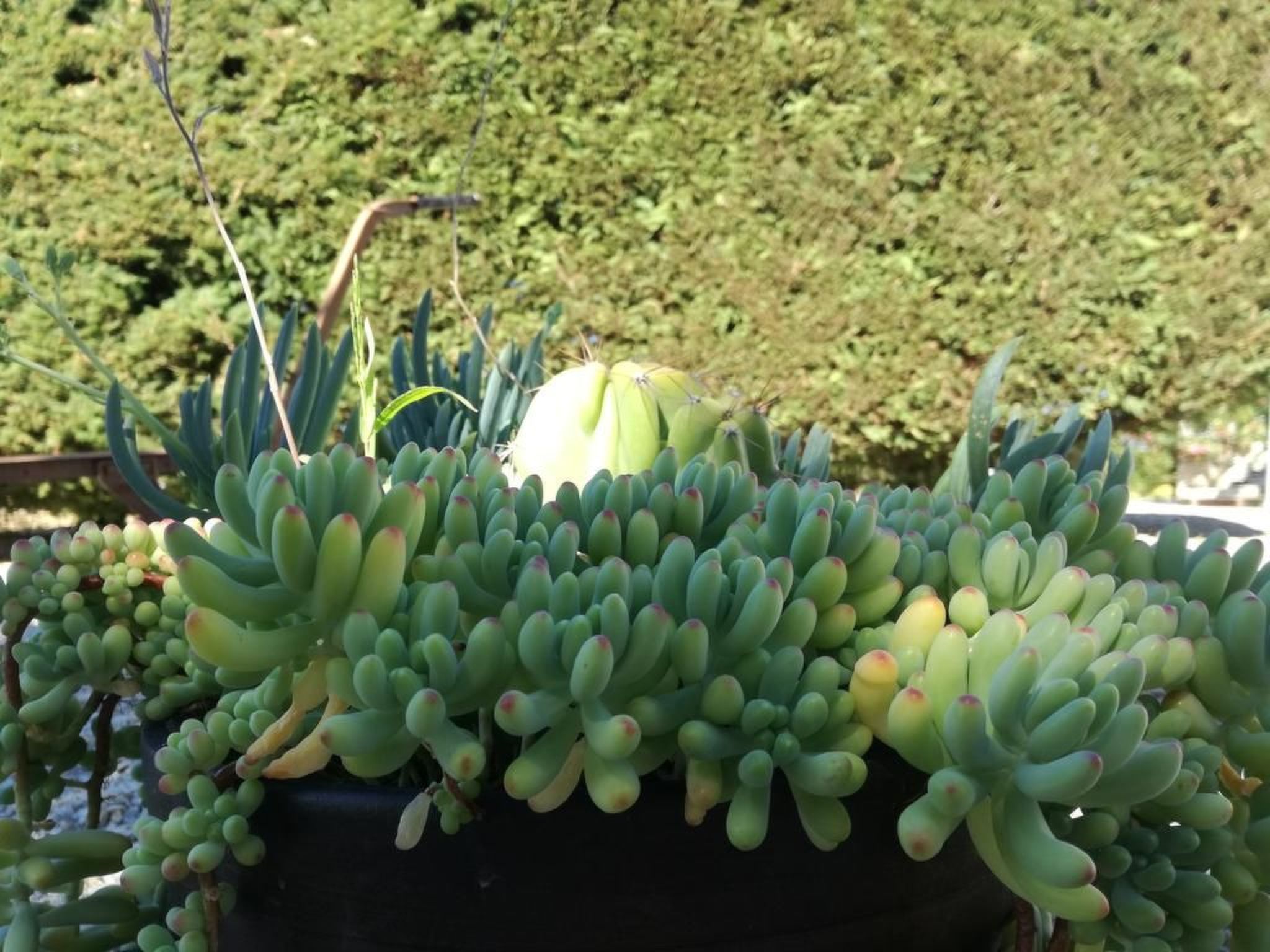 Träumende Aussichten im Douro-Image-tags.info