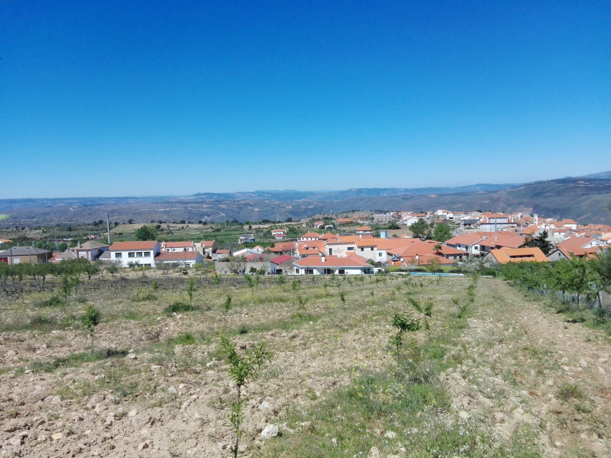 Träumende Aussichten im Douro-Image-tags.info