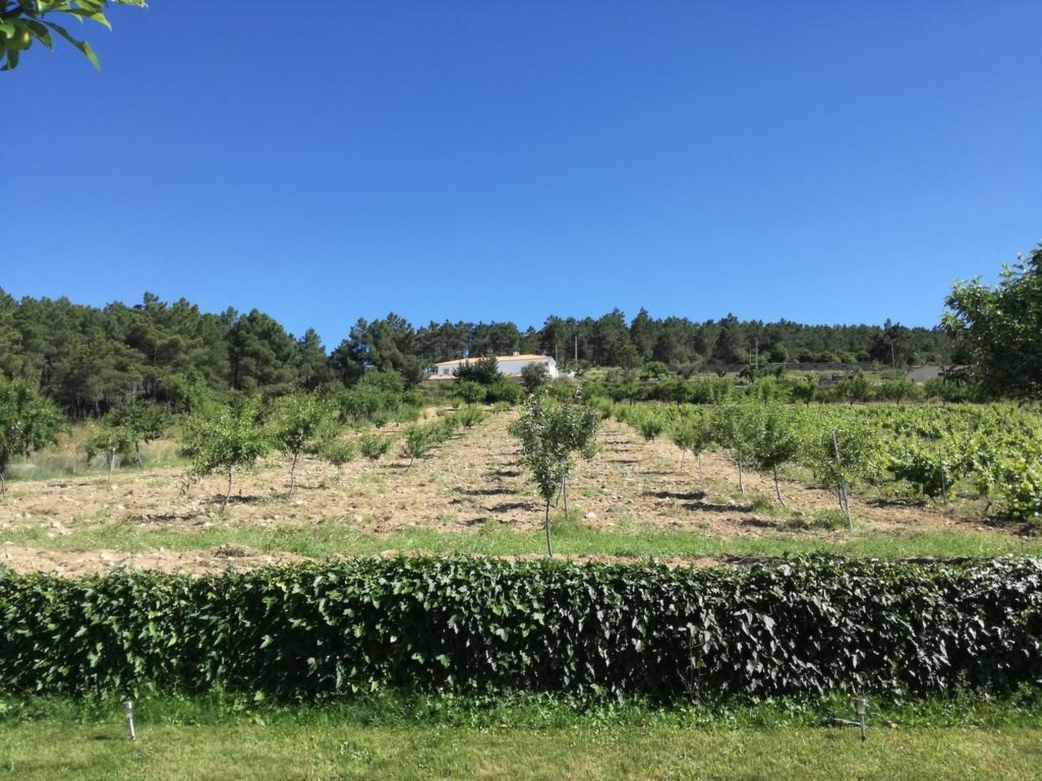 Träumende Aussichten im Douro-Outside