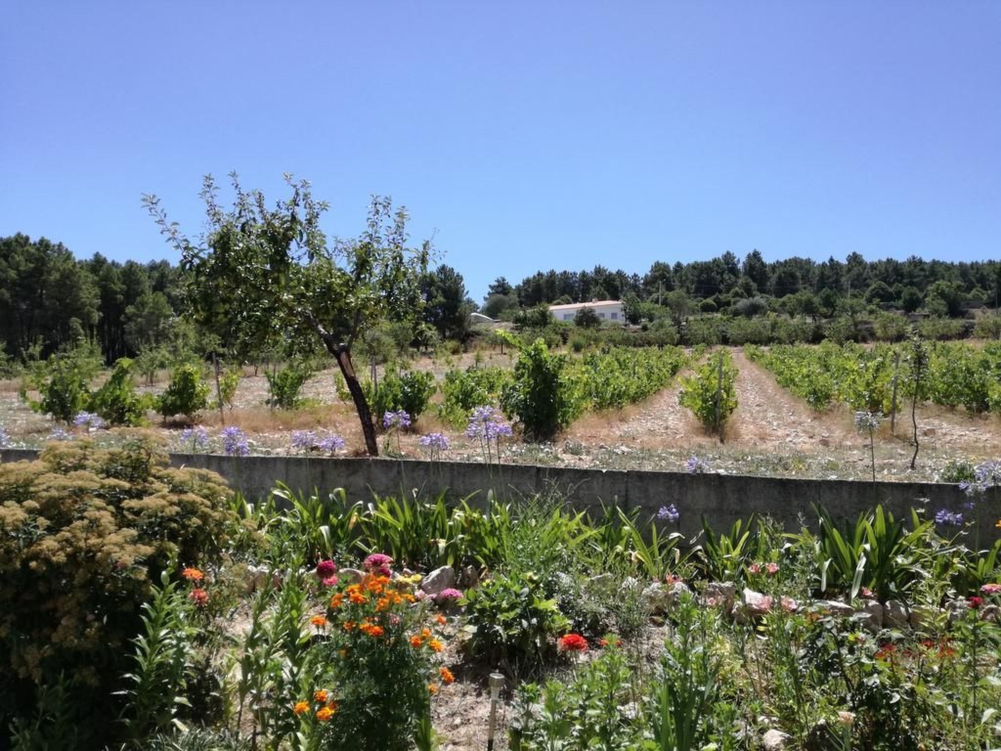 Träumende Aussichten im Douro-Outside