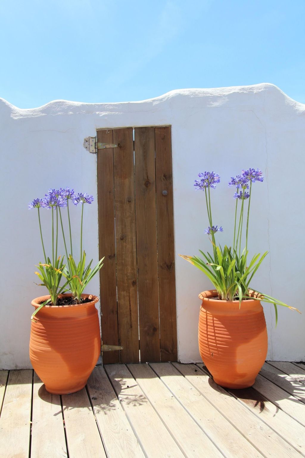 "The Recycle Art" mit Terrasse-Draußen