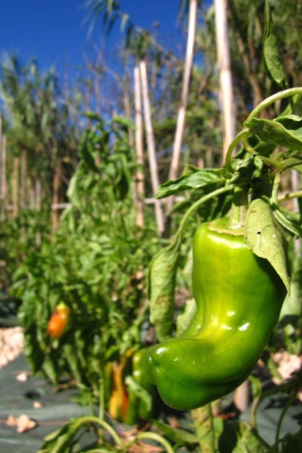 "The Recycle Art" mit Terrasse-Image-tags.info