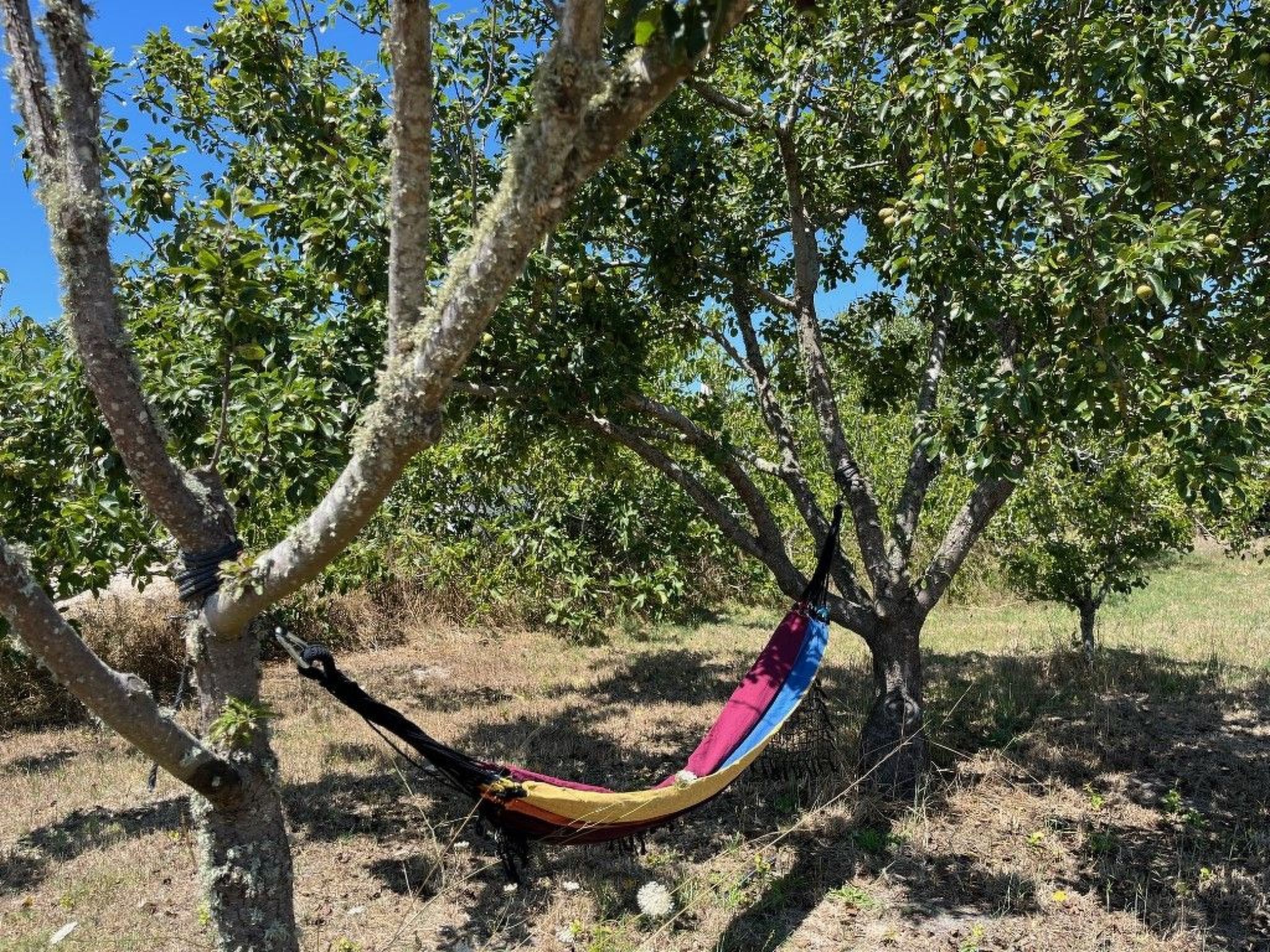 Schönes Landhaus mit Tauchbecken, Strand 3km-Drinnen