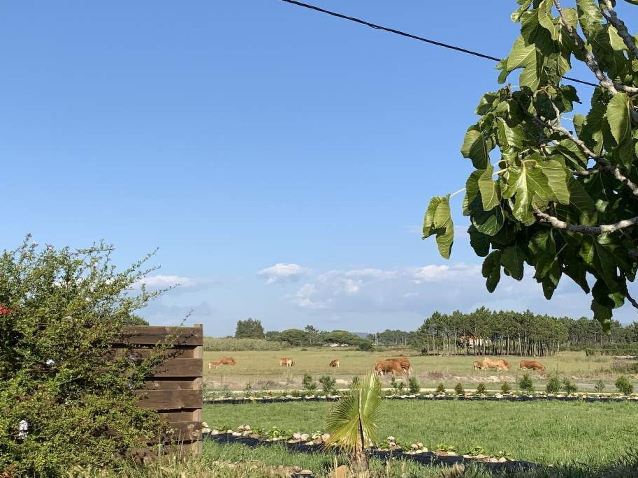 Schönes Landhaus mit Tauchbecken, Strand 3km