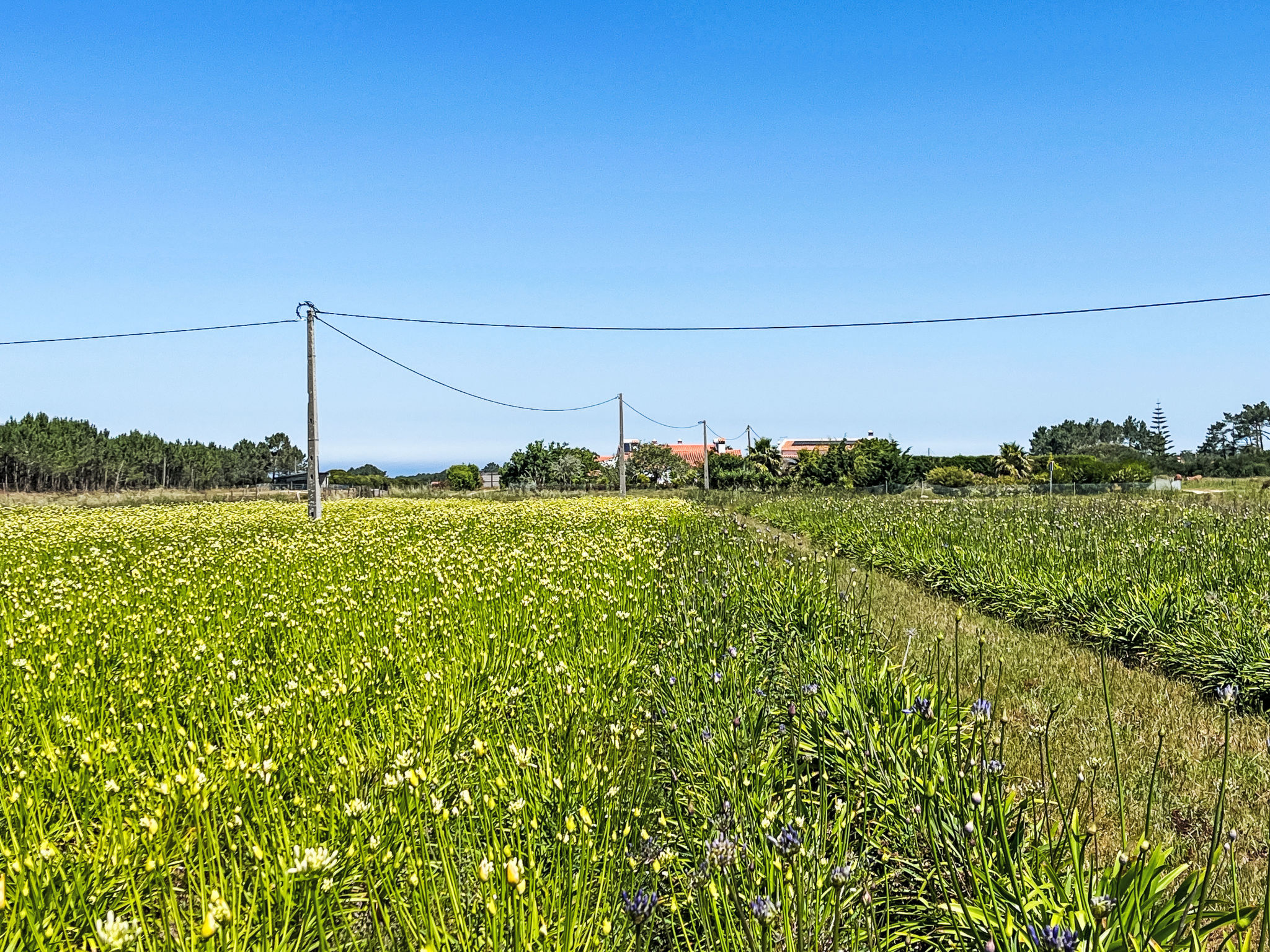 Charmantes Ferienhaus mit schöner Aussicht, 2 Sc - Dehors