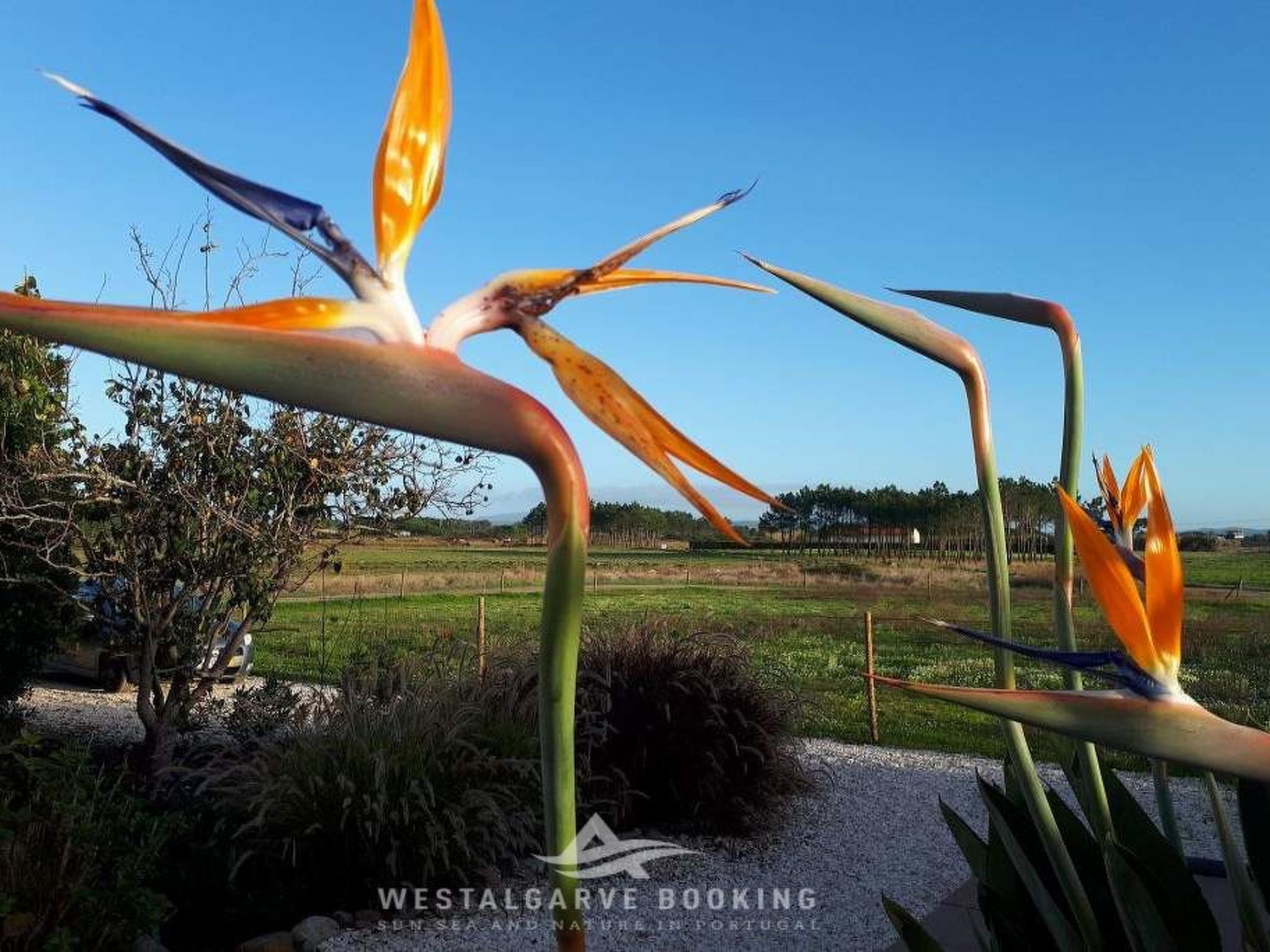 Charmantes Ferienhaus mit schöner Aussicht, 2 Schlafzimmer-Drinnen