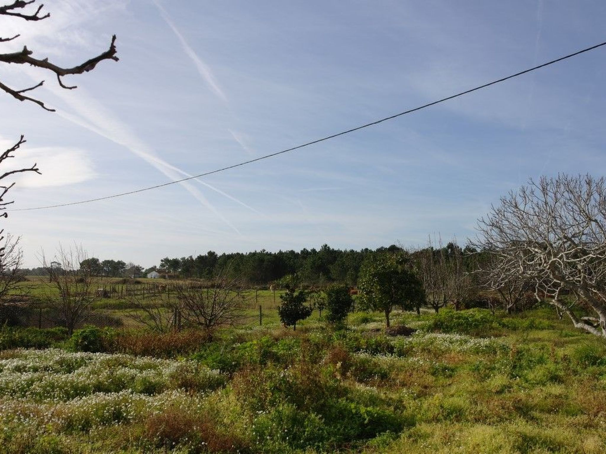 Charmantes Ferienhaus mit schöner Aussicht, 2 Schlafzimmer-Drinnen