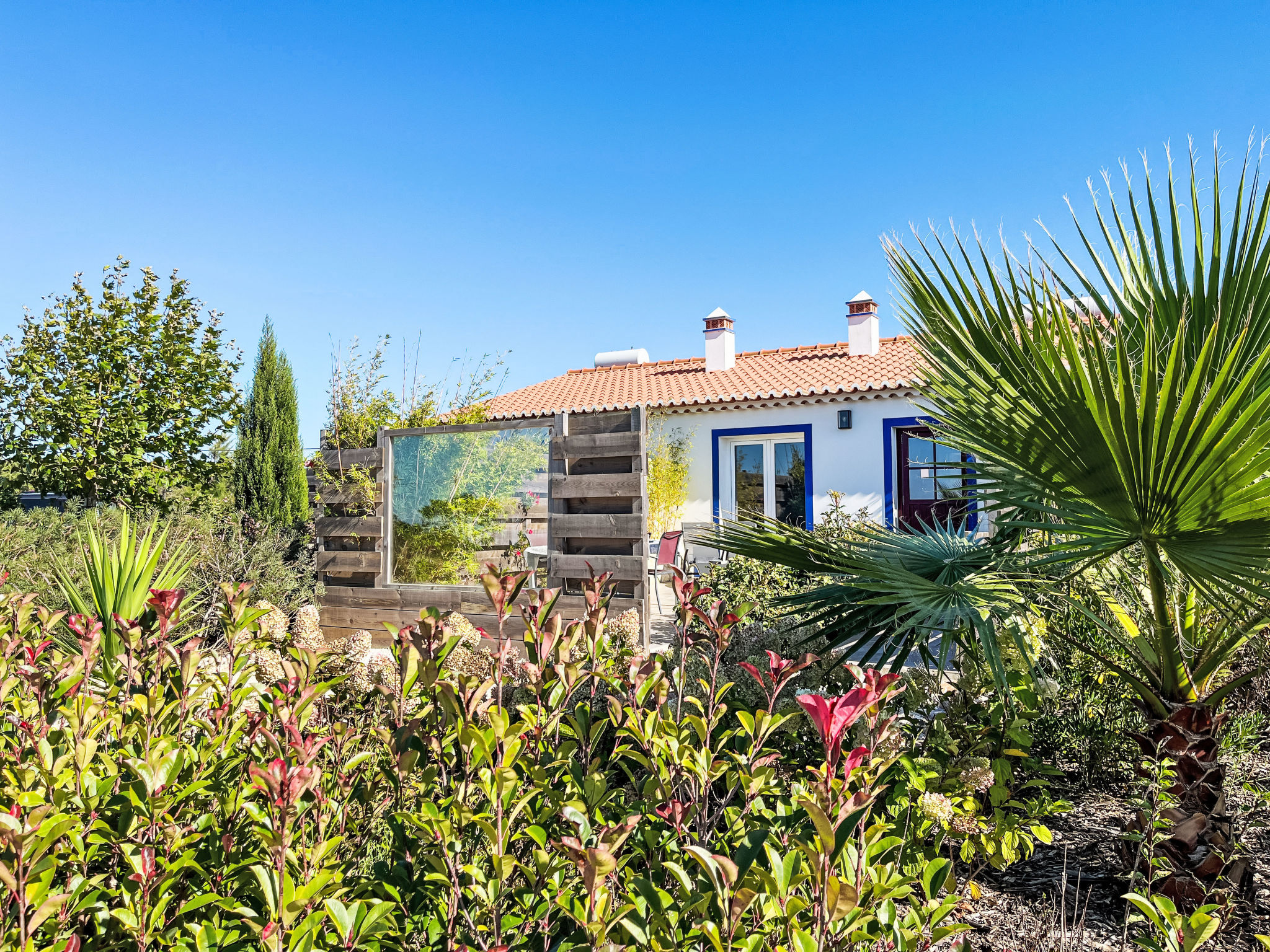 Haus Bamboo in Odeceixe mit ruhiger Terrasse