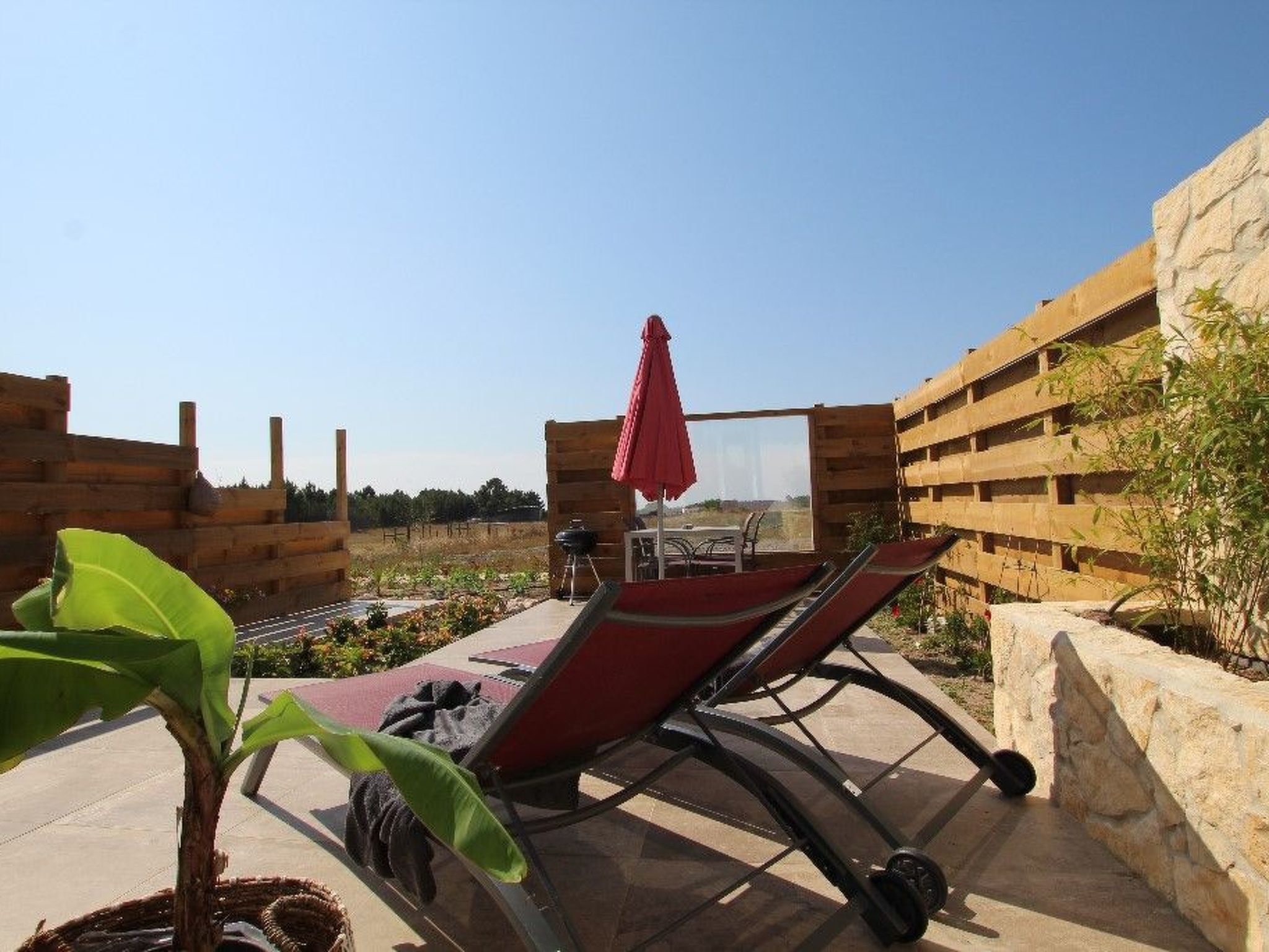 Haus Bamboo in Odeceixe mit ruhiger Terrasse-Binnen