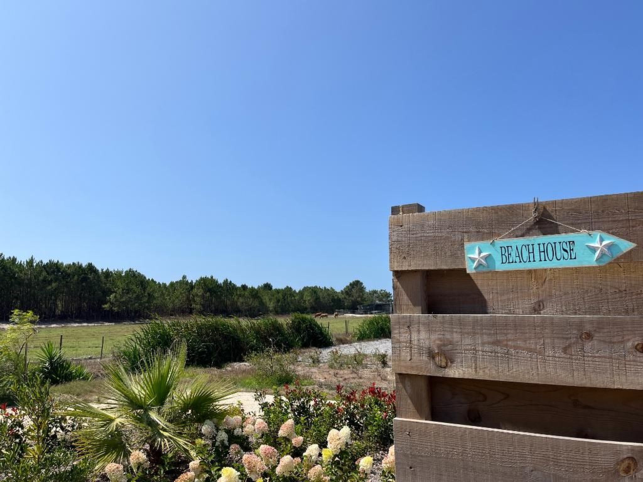 Haus Bamboo in Odeceixe mit ruhiger Terrasse-Binnen