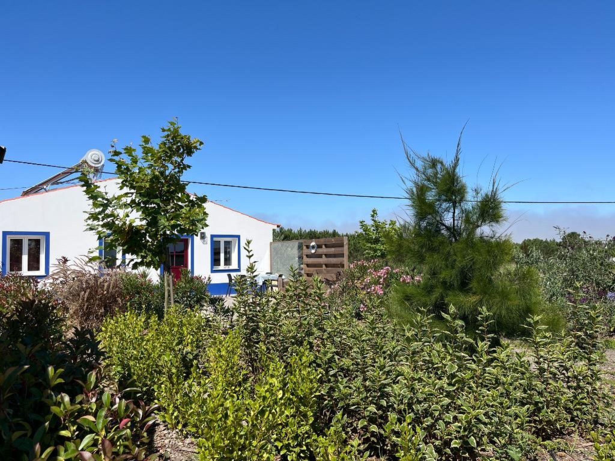 Auf dem Lande in der Nähe des Strandes-Drinnen