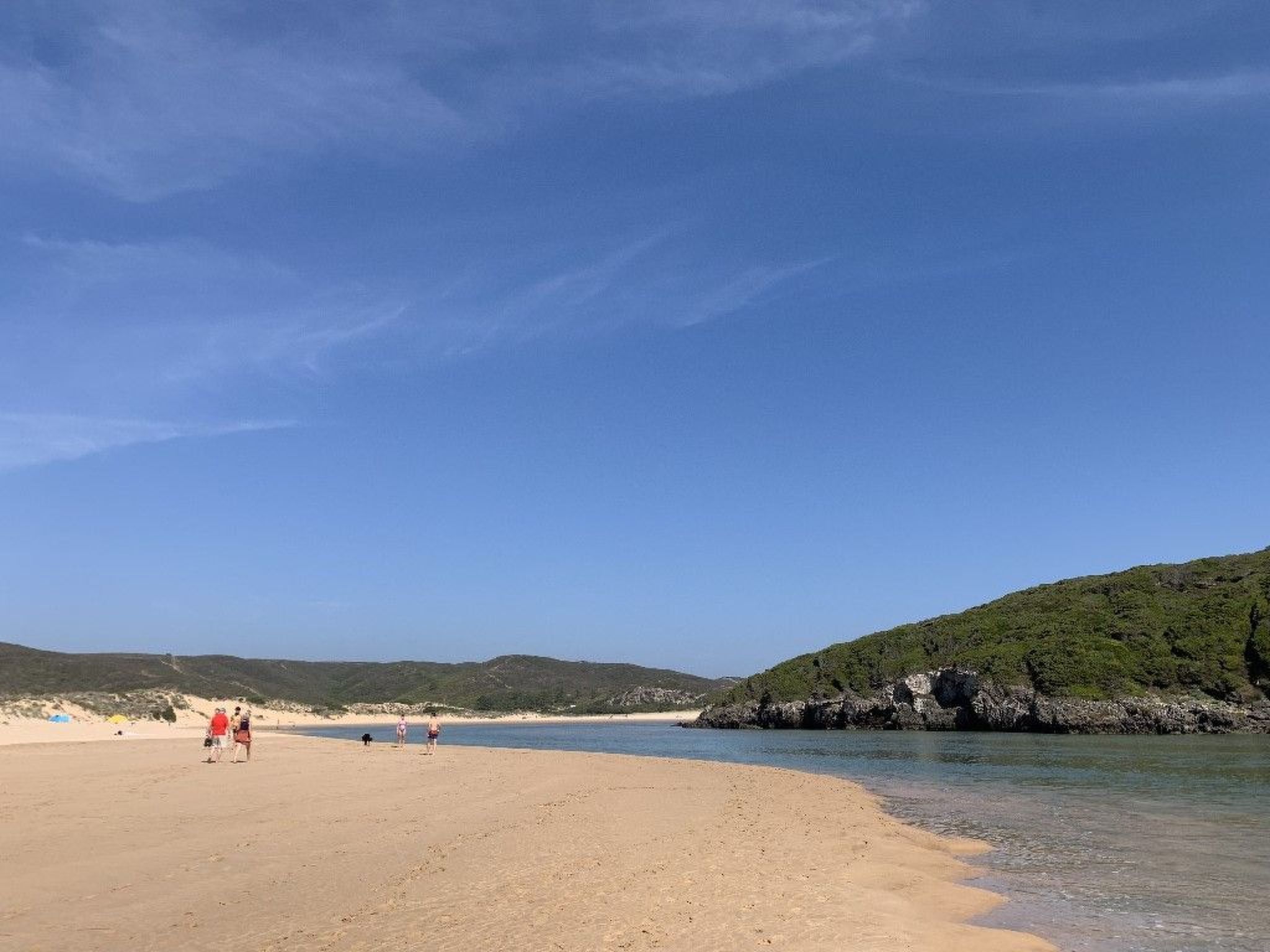 Auf dem Lande in der Nähe des Strandes
