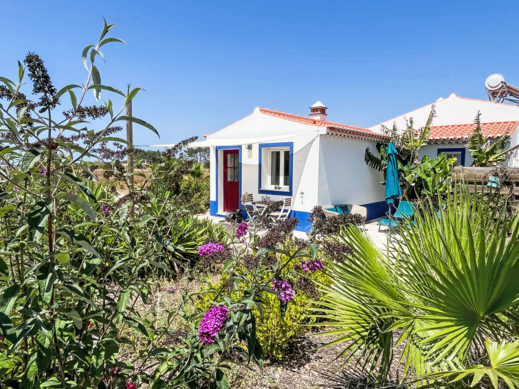 Sonne, Meer, Natur Im Gemütlichen Ferienhaus - Odeceixe