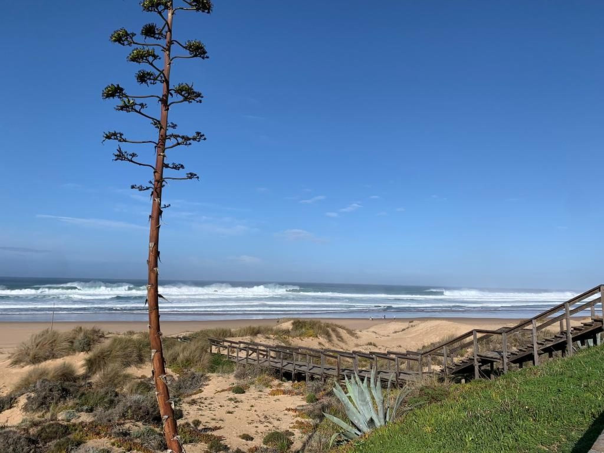 Sonne, Meer, Natur im gemütlichen Ferienhaus-Binnen
