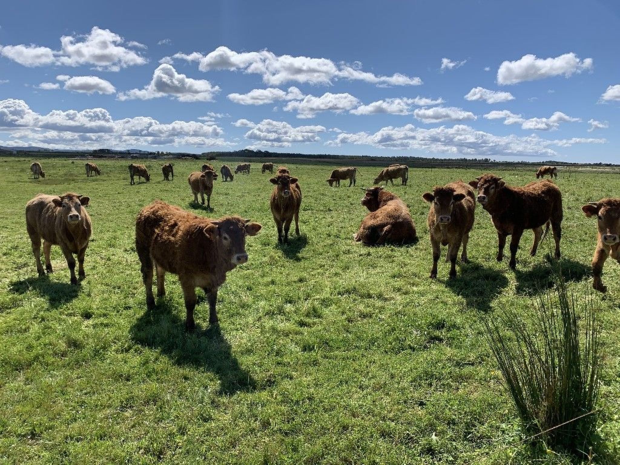 Sonne, Meer, Natur im gemütlichen Ferienhaus-Binnen