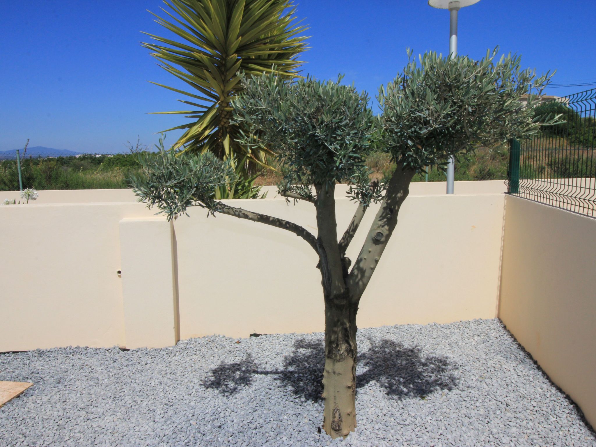 Vila Marques da Luz-Binnen