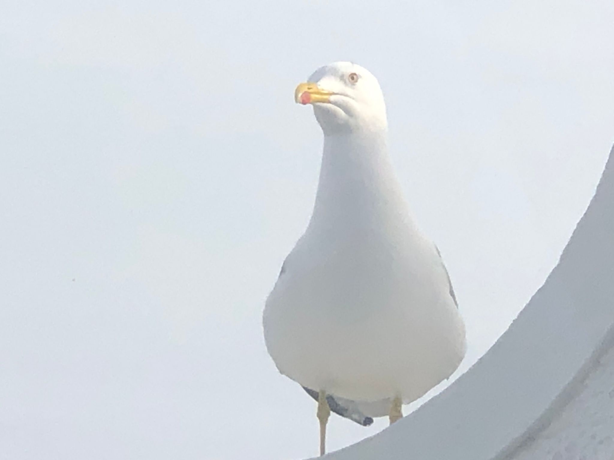 Zentrales Ferienhaus mit bezauberndem Meerblick-Image-tags.info