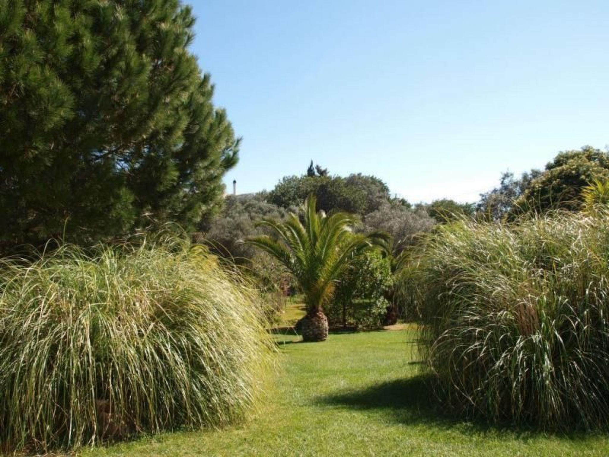 Photo of mit Terrasse und Gemeinschaftspool