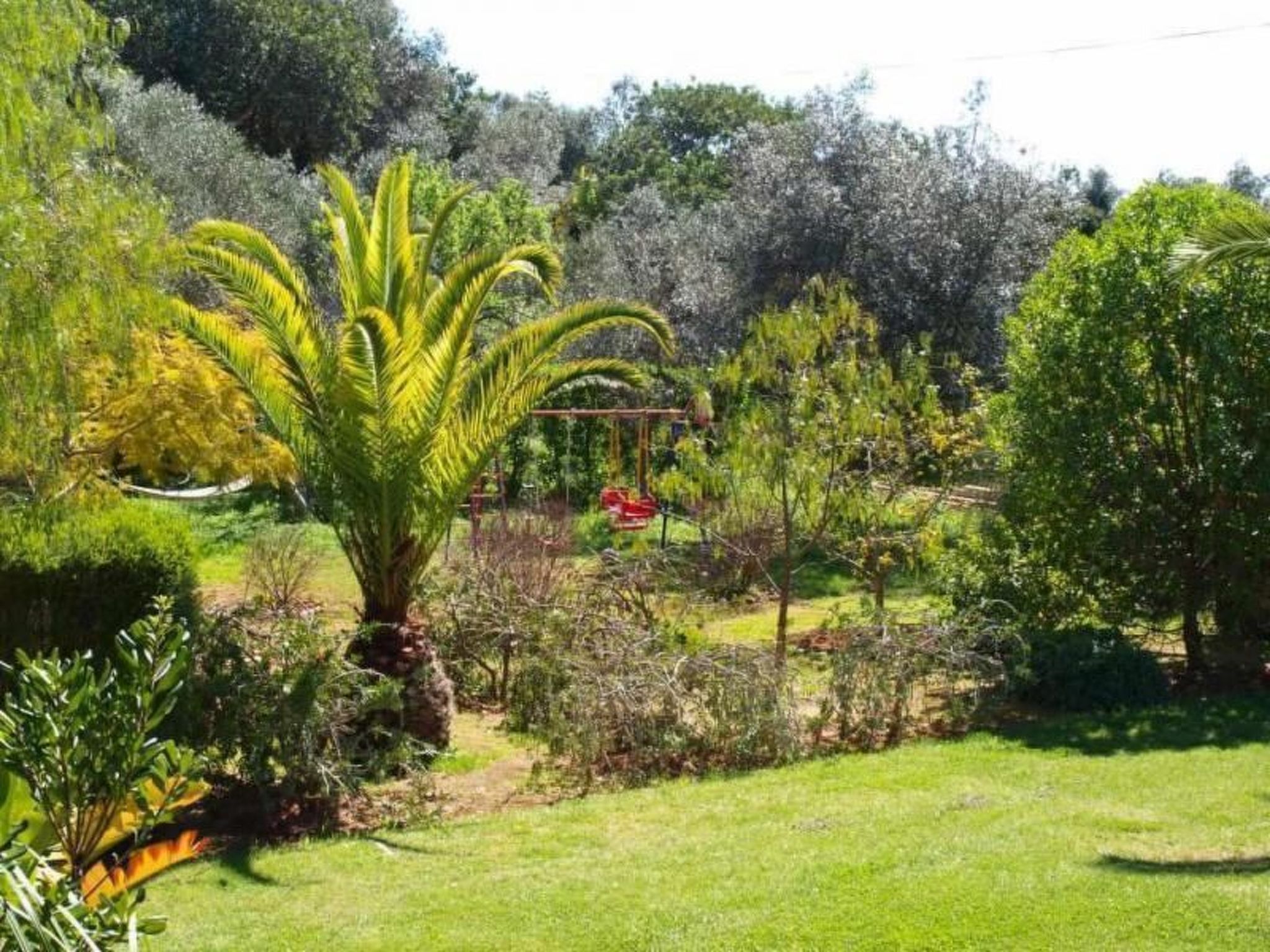 Photo of mit Terrasse und Gemeinschaftspool