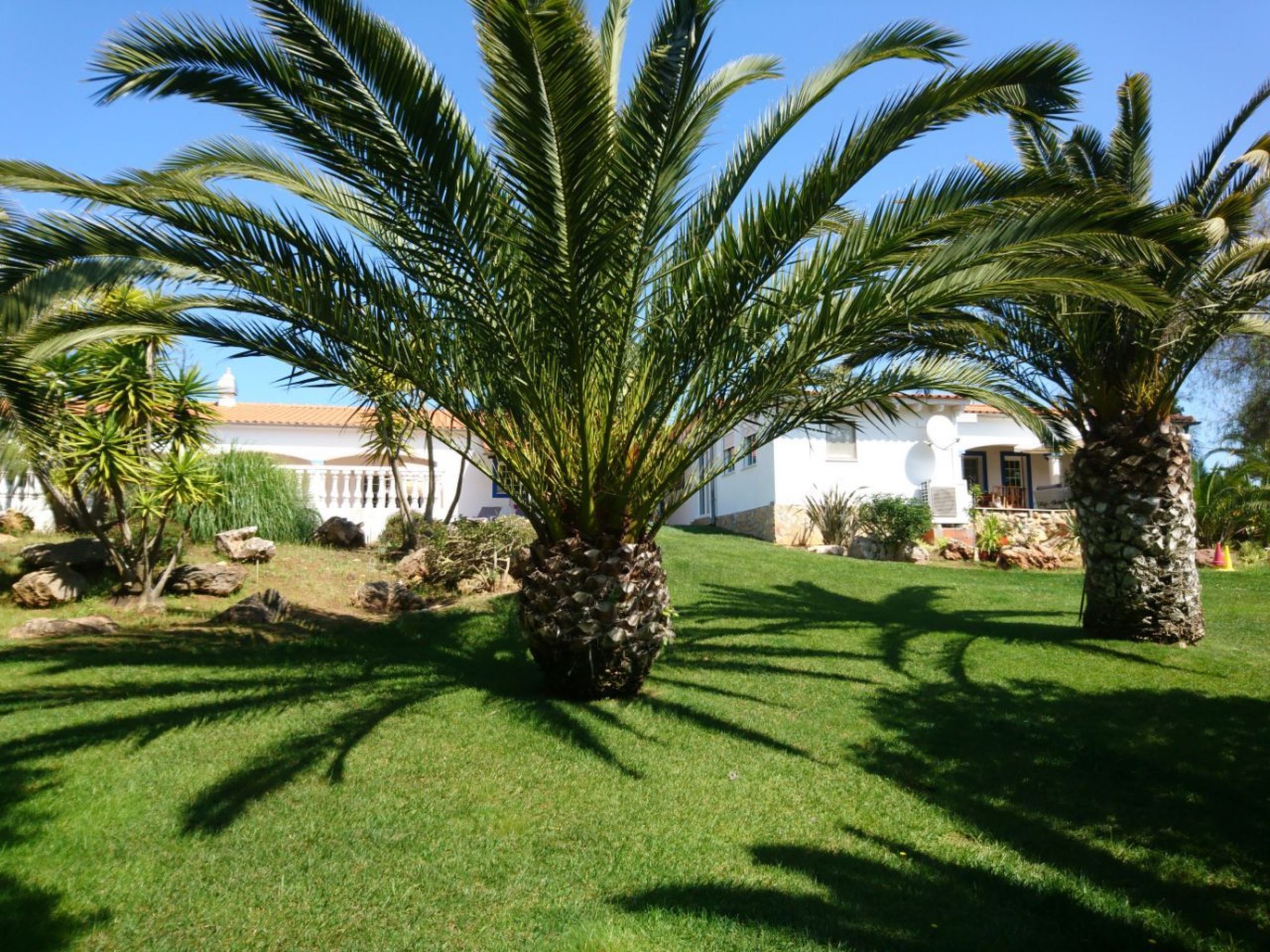 Photo of mit Terrasse und Gemeinschaftspool