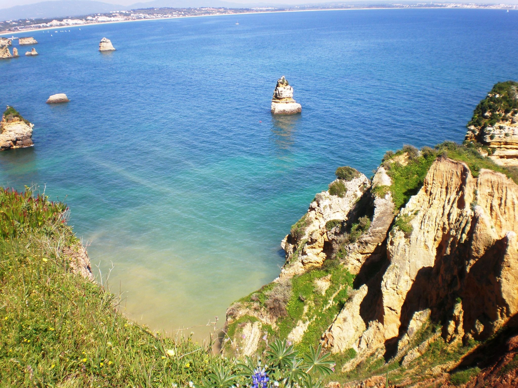 Photo of mit Terrasse und Gemeinschaftspool