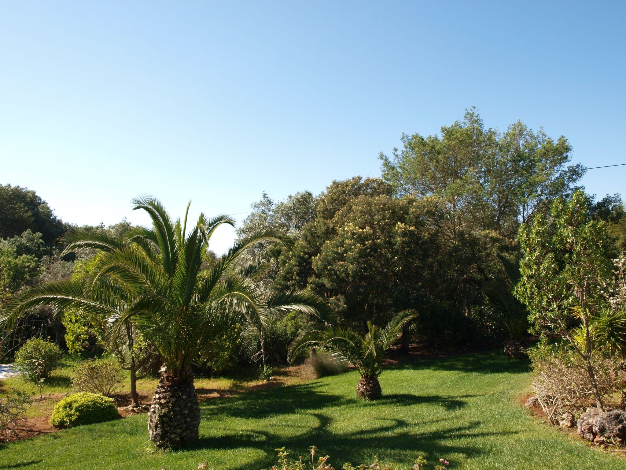 Photo of mit Terrasse und Gemeinschaftspool