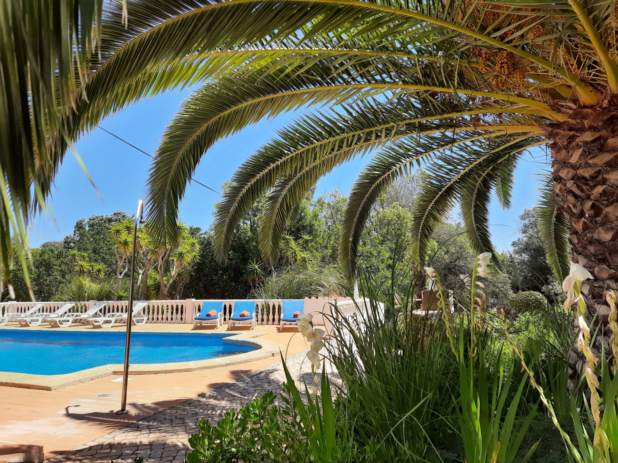 Photo of mit Terrasse und Gemeinschaftspool
