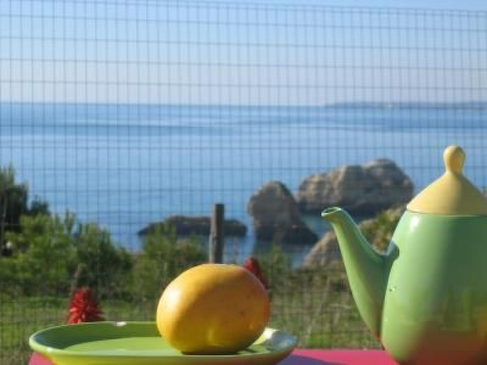 Photo of Einzigartige Lage, atemberaubende Aussicht, Leben in der Natur.