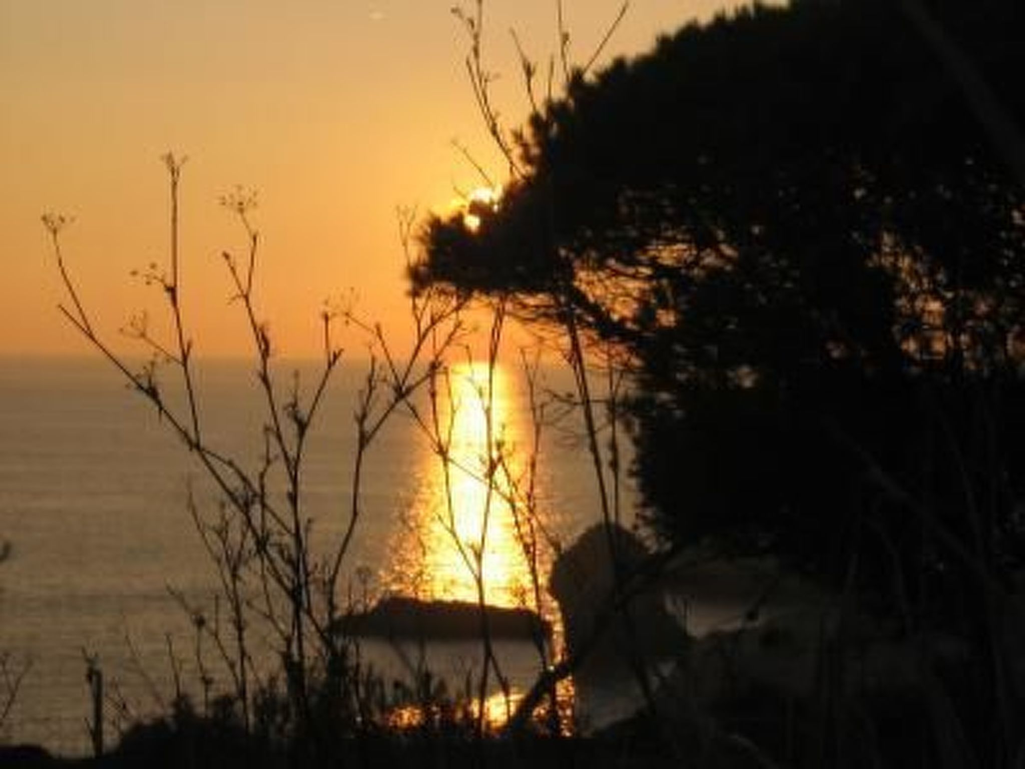 Photo of Einzigartige Lage, atemberaubende Aussicht, Leben in der Natur.