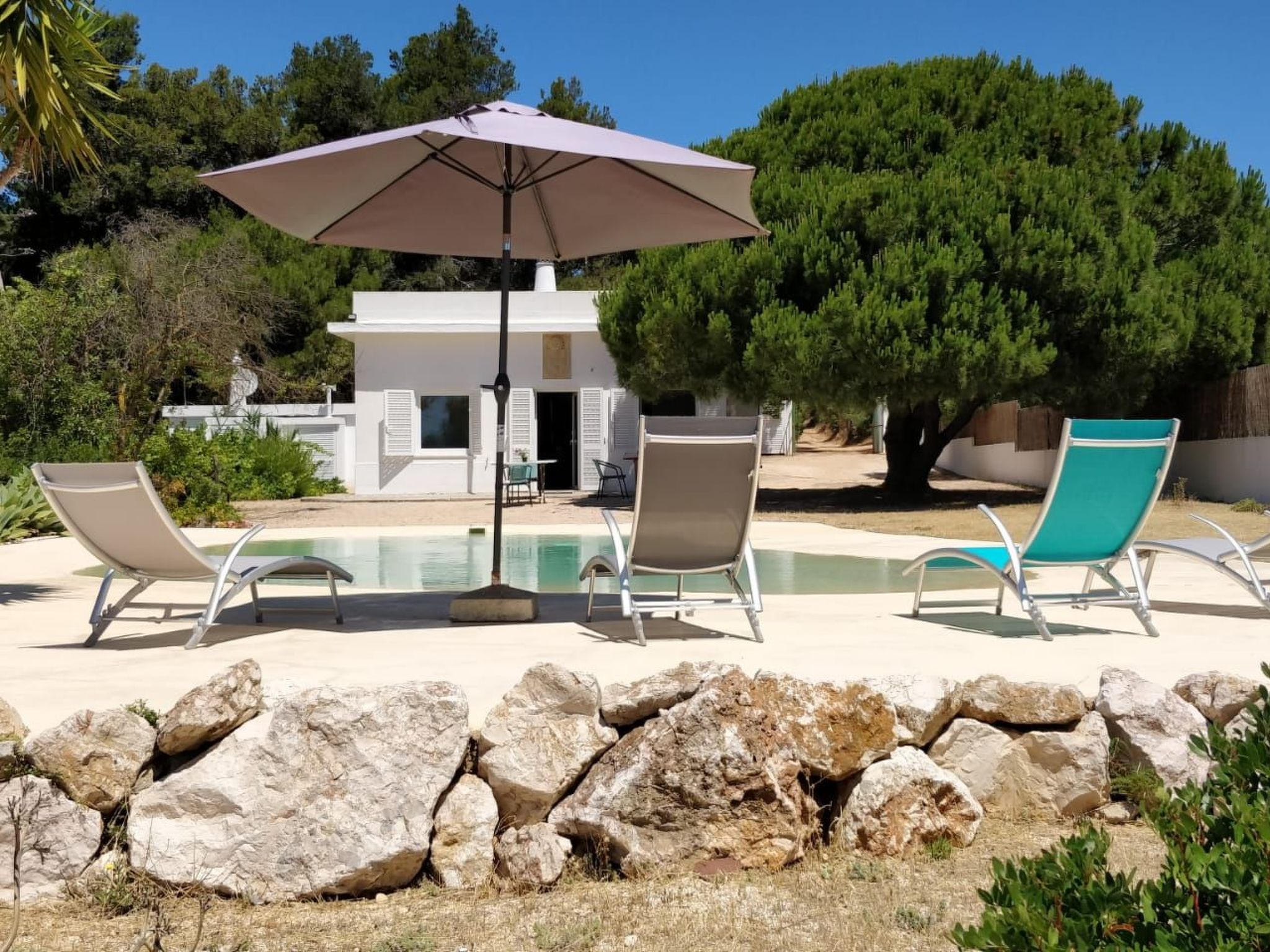 Photo of Einzigartige Lage, atemberaubende Aussicht, Leben in der Natur.