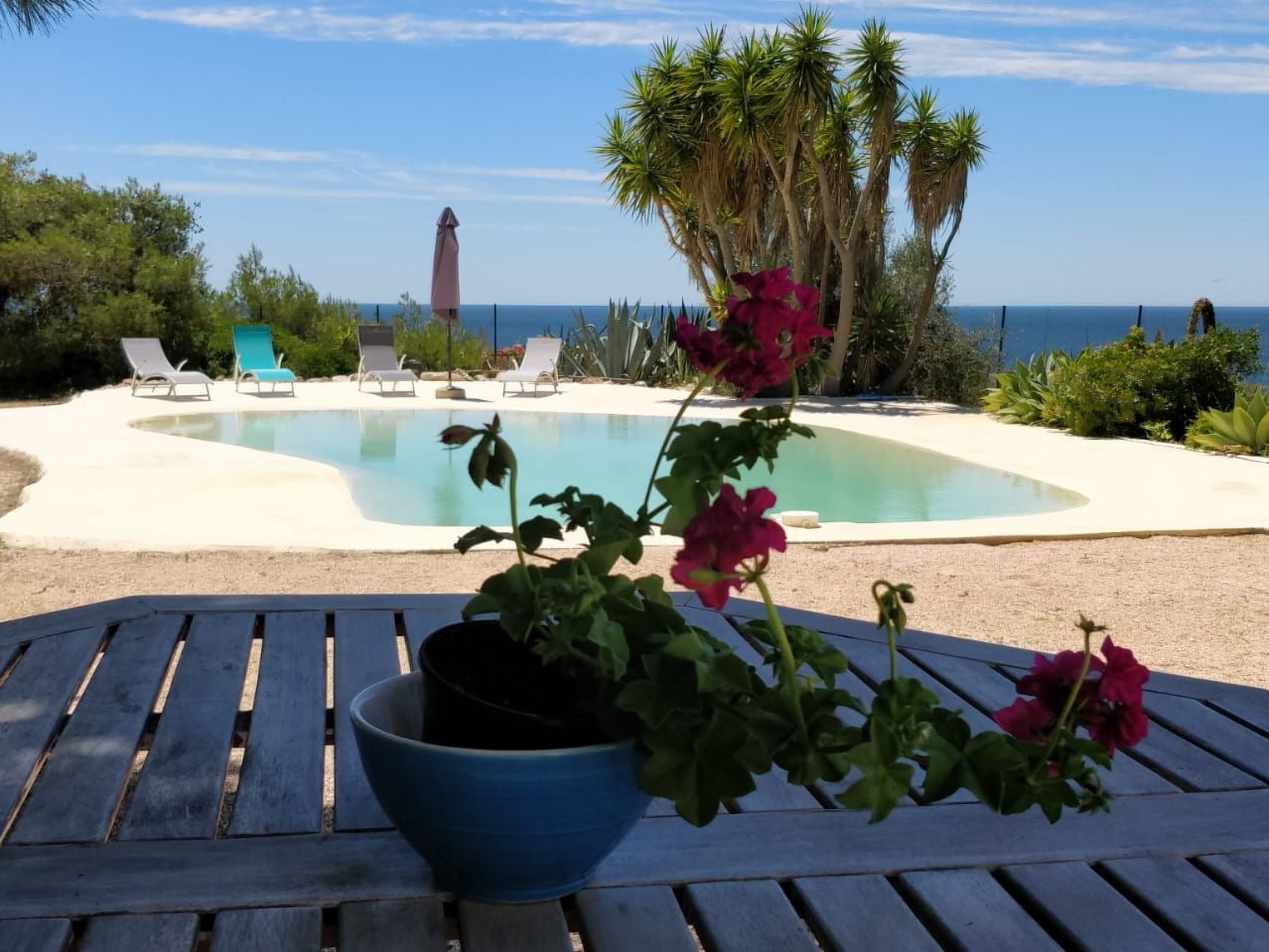 Photo of Einzigartige Lage, atemberaubende Aussicht, Leben in der Natur.