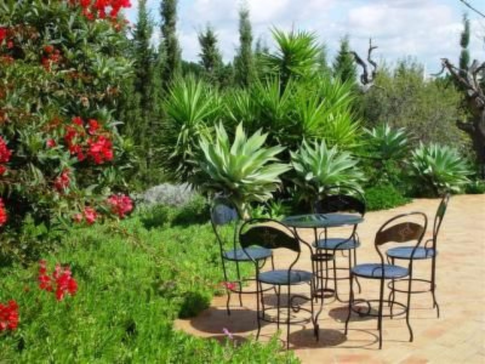 "Quinta do Sol" mit Kamin