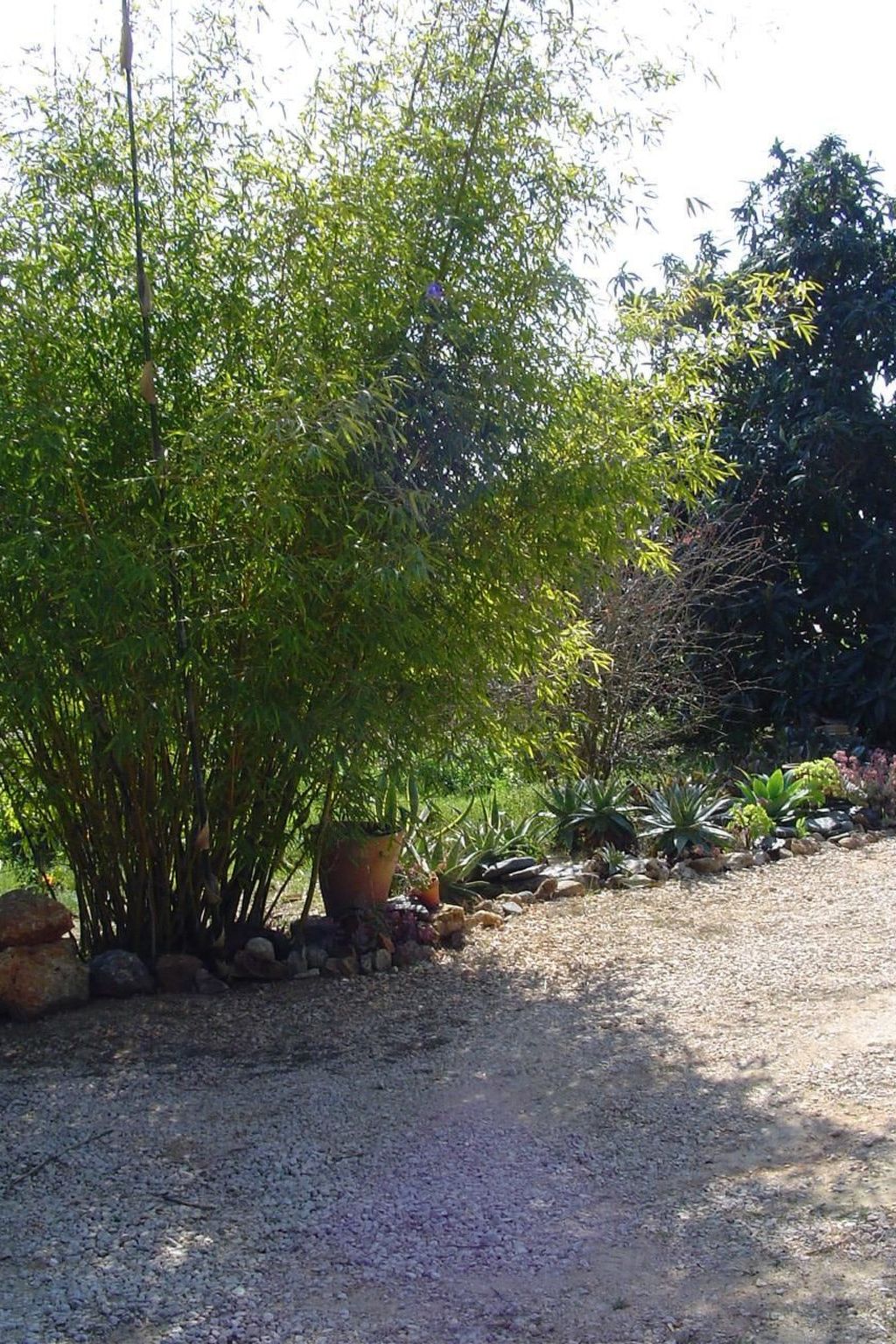 Photo of "Quinta do Sol" mit Kamin