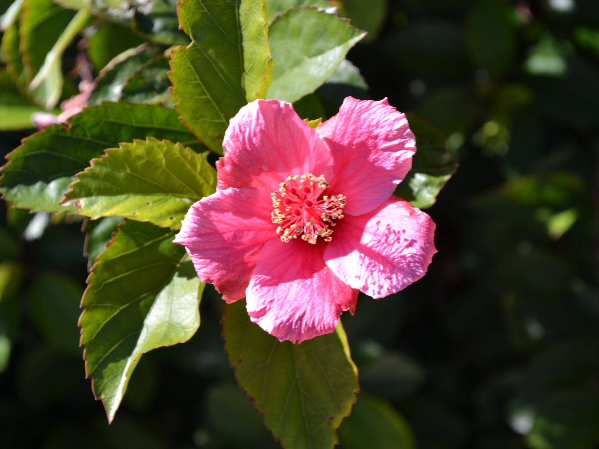 Luxuriöse Privatvilla mit Infinity-Pool-Drinnen