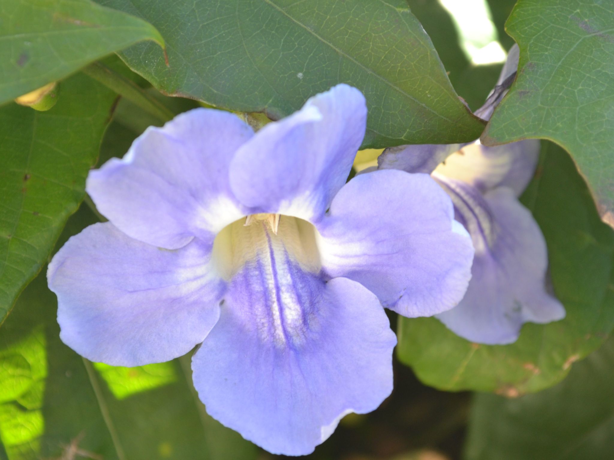 Luxuriöse Privatvilla mit Infinity-Pool-Drinnen